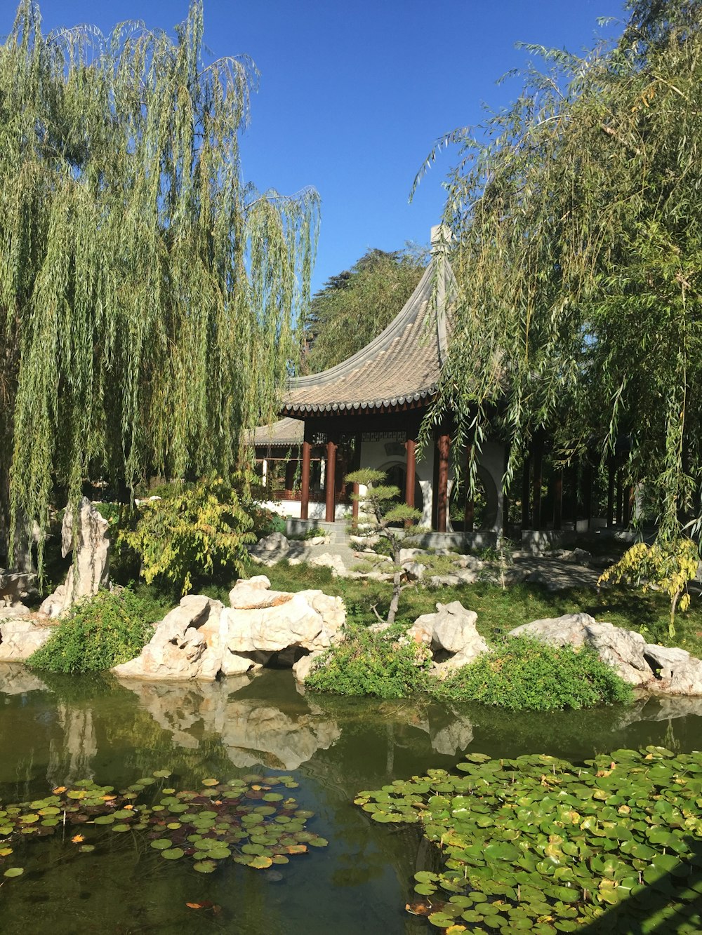 a pond surrounded by rocks and water lilies