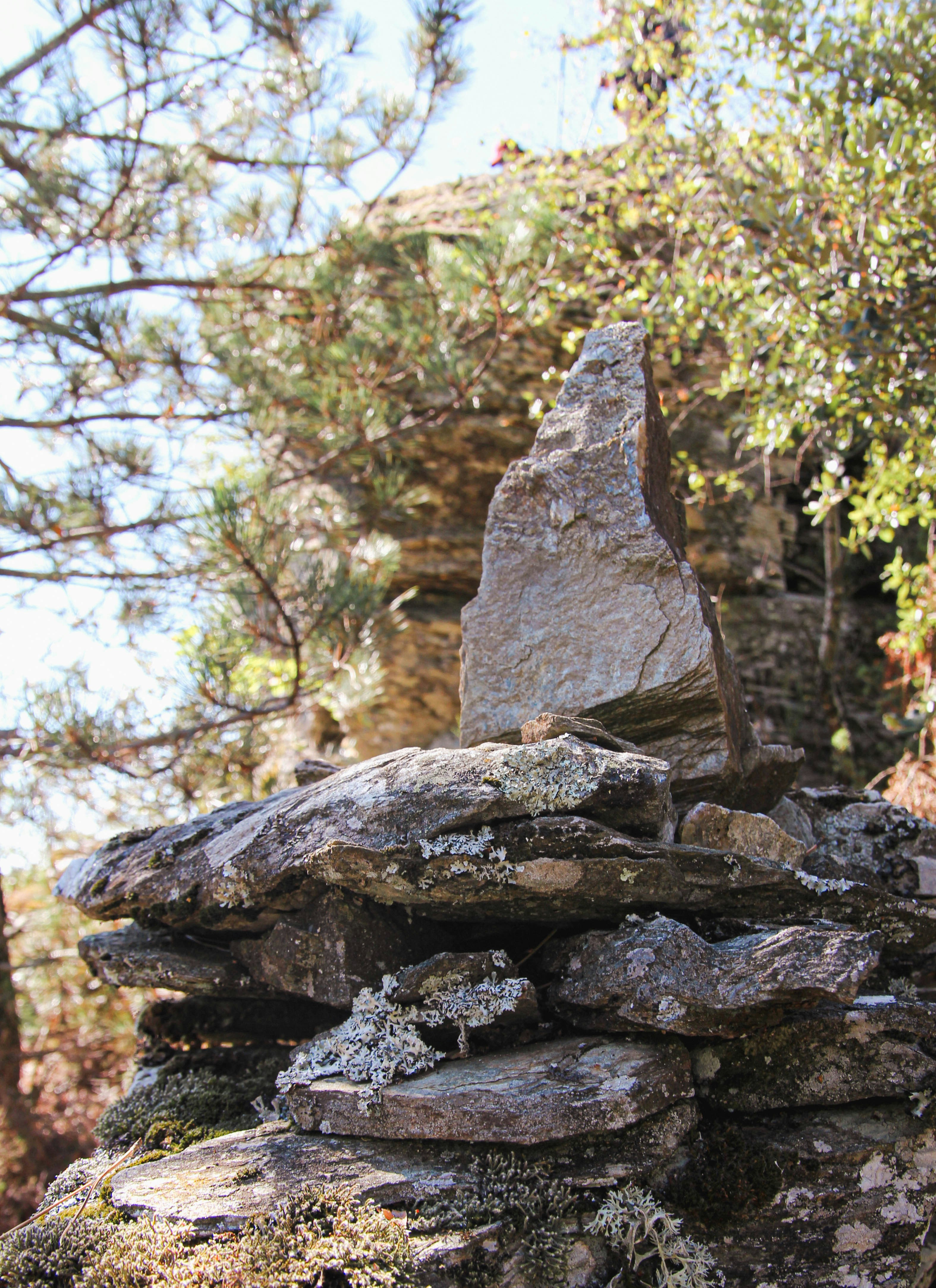 a pile of rocks sitting next to a forest