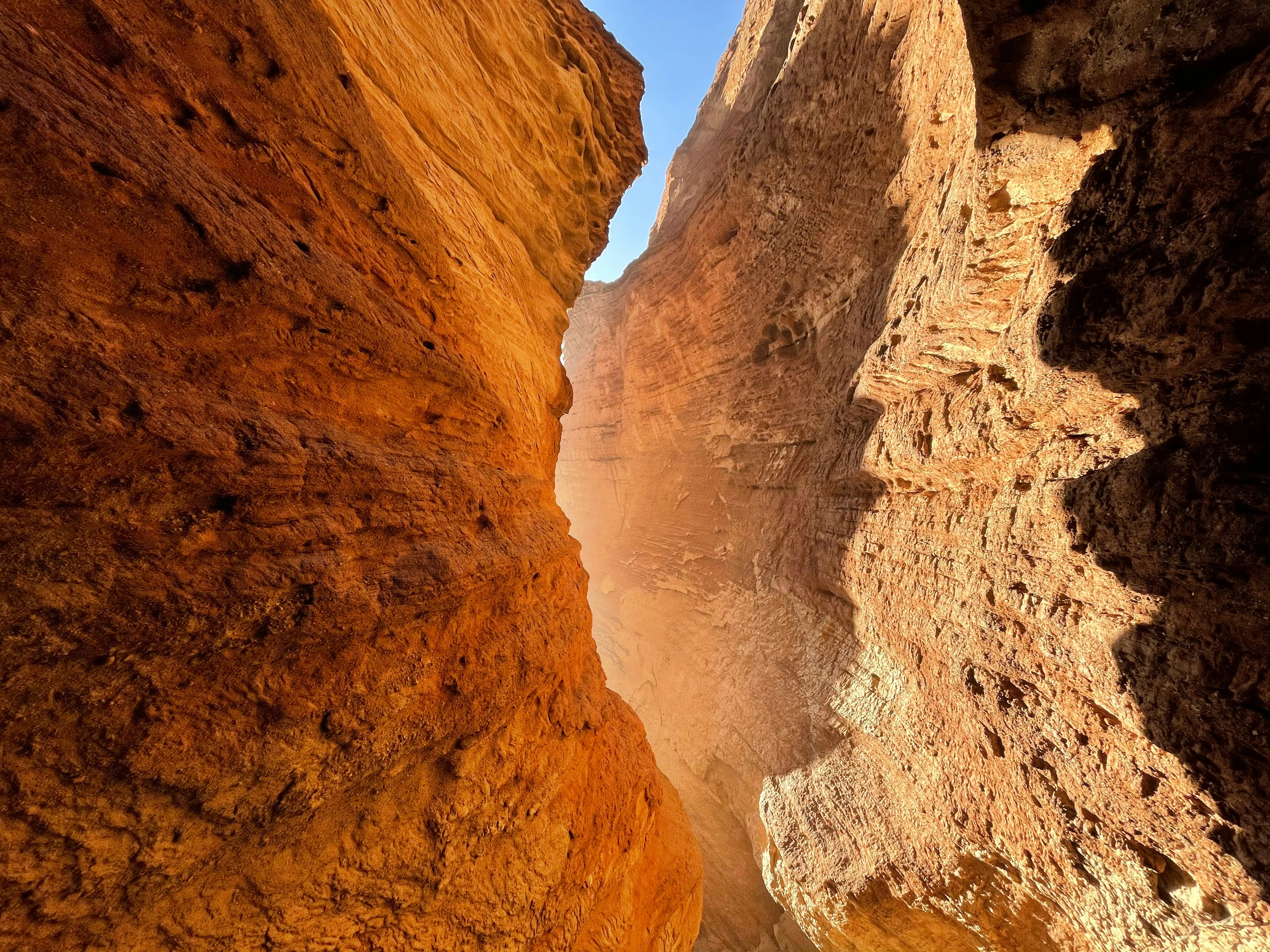 Photo by nealsanisbury2574