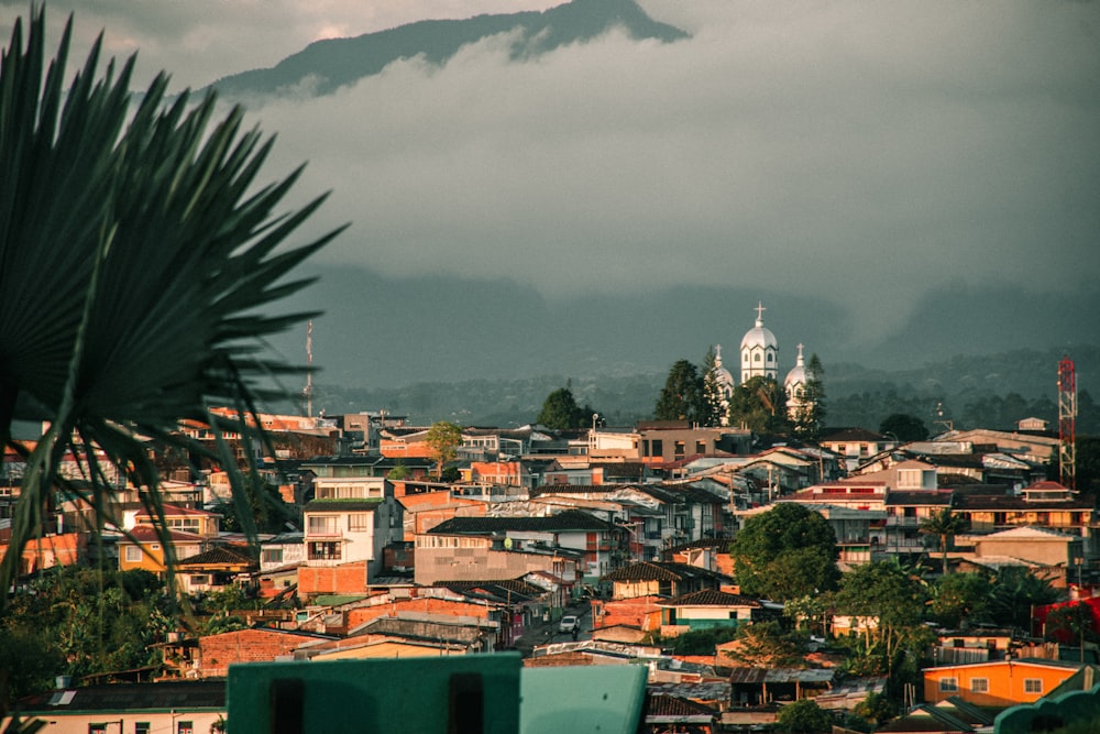 a view of a city with a mountain in the background