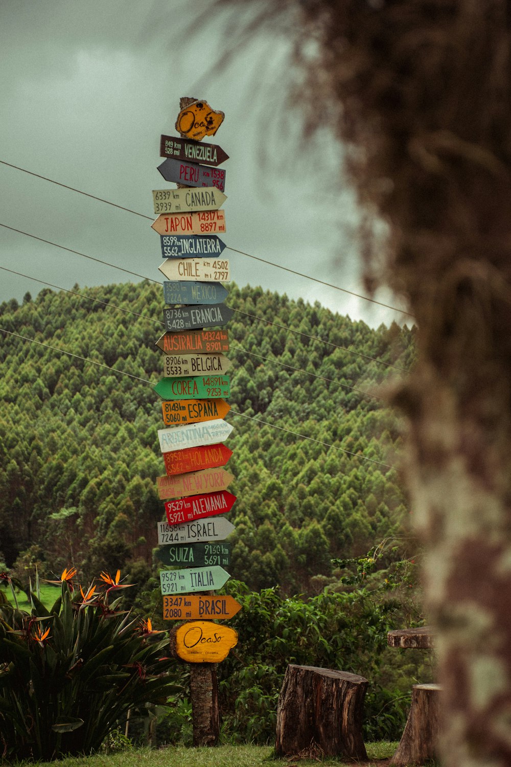 a pole with a bunch of signs attached to it