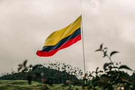 A large flag with horizontal yellow, blue, and red stripes flies prominently against an overcast sky. Below the flag, there is a scenic landscape with a lush green hill and numerous tall, slender palm trees emerging from the hillside.