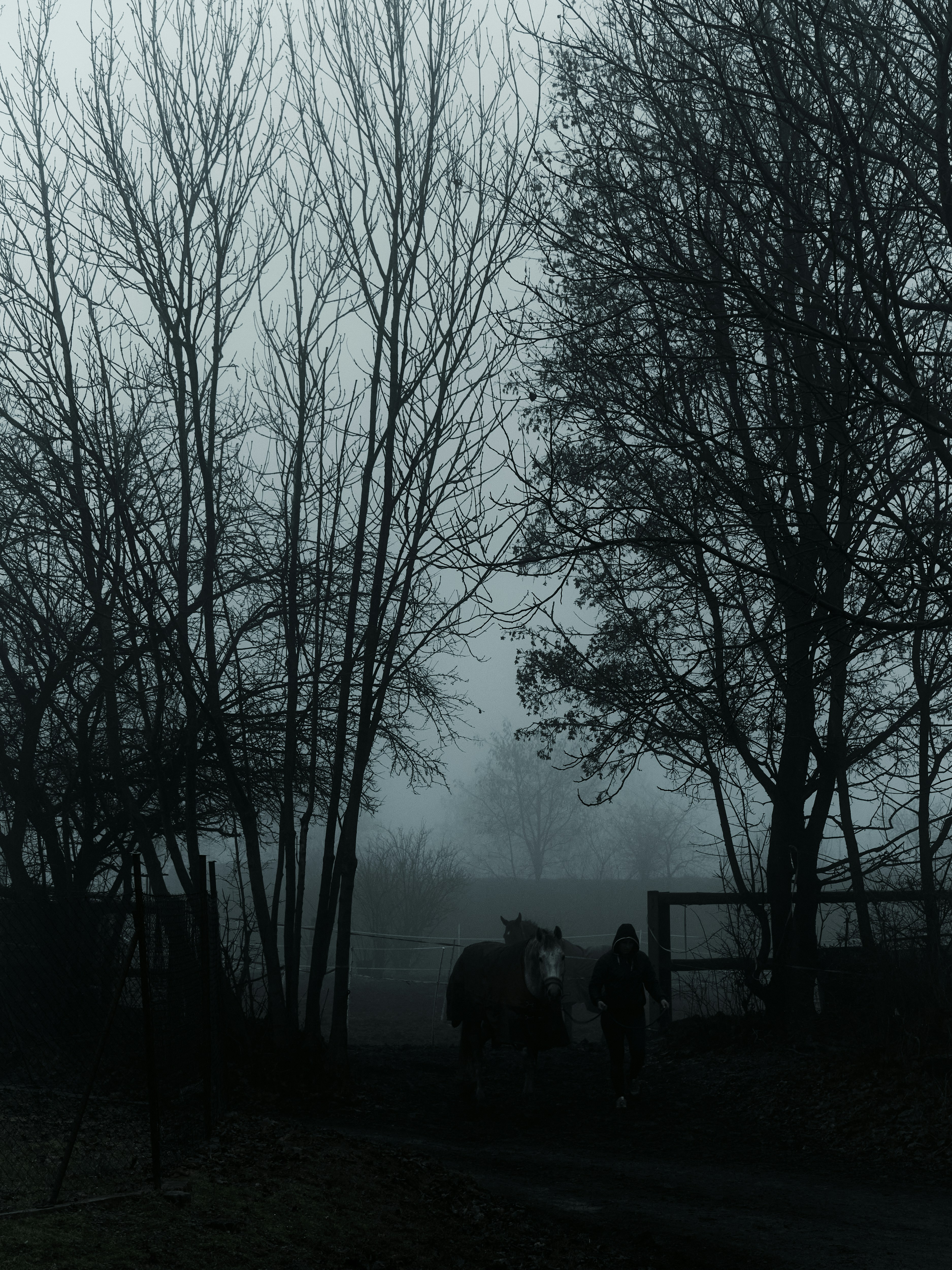 Photo by jkalina
