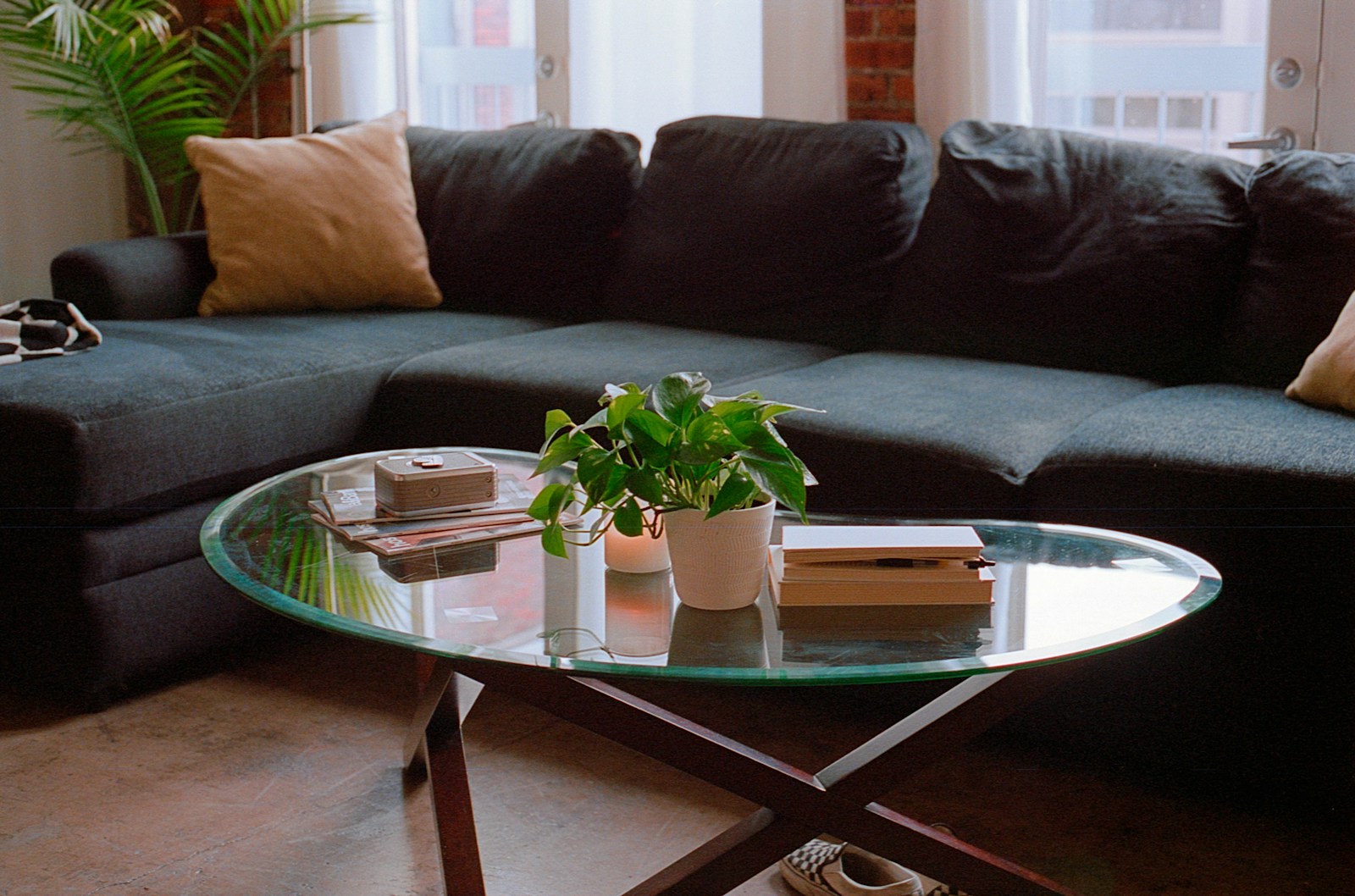 cozy small apartment living room with dark sofa glass coffee table plant for single woman