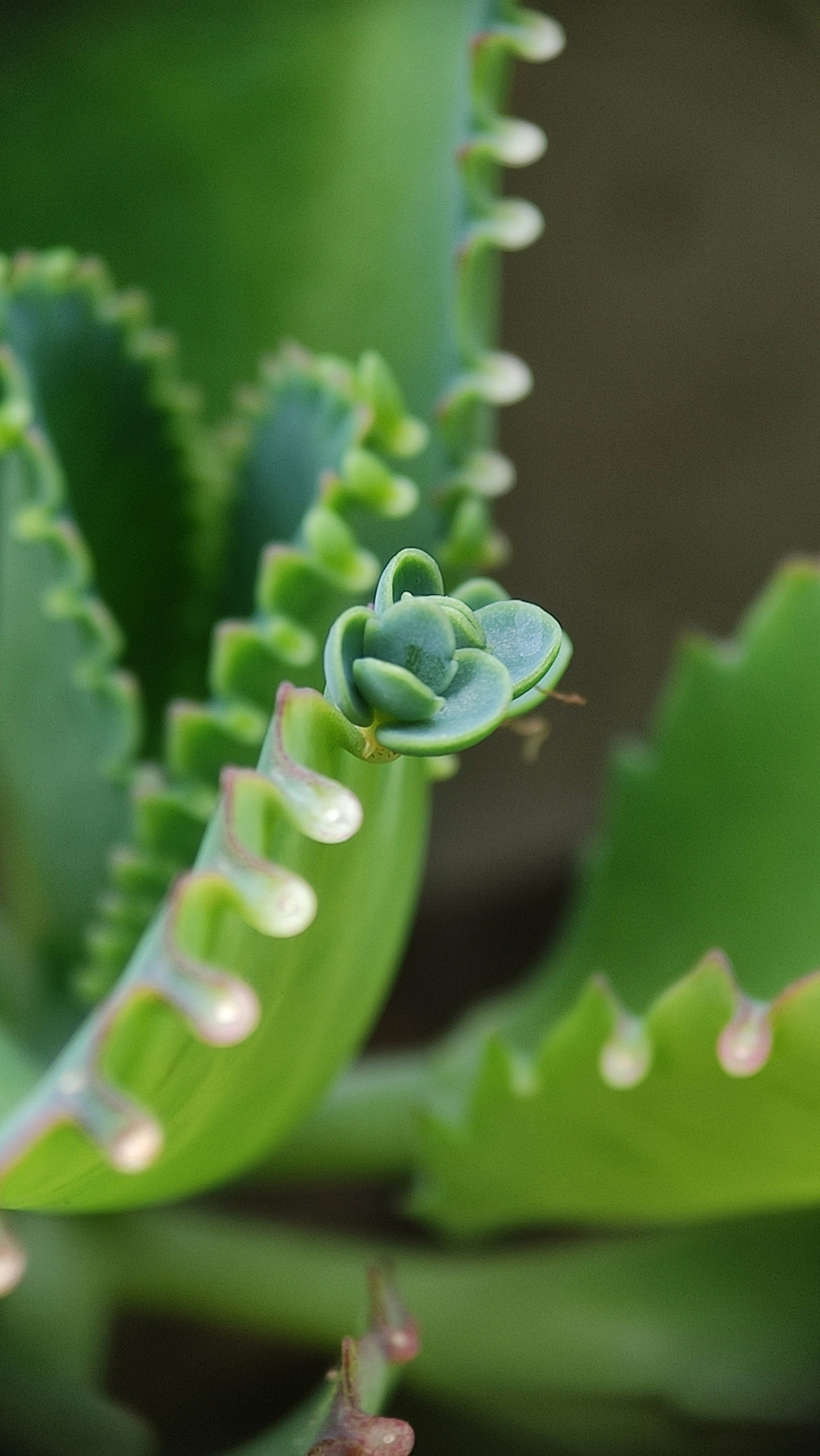 Photo by restusisworo