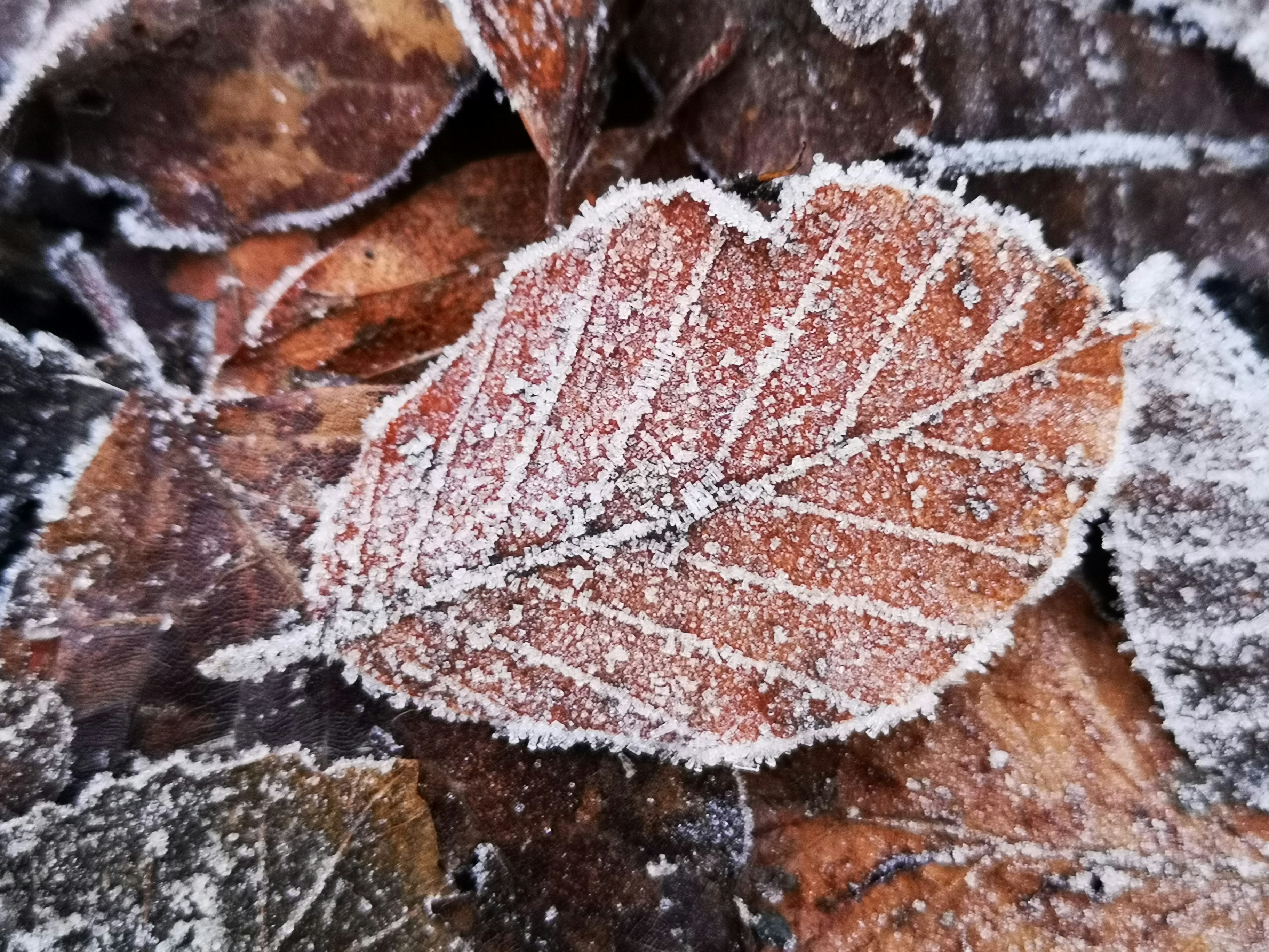 Photo by kerrynicholson