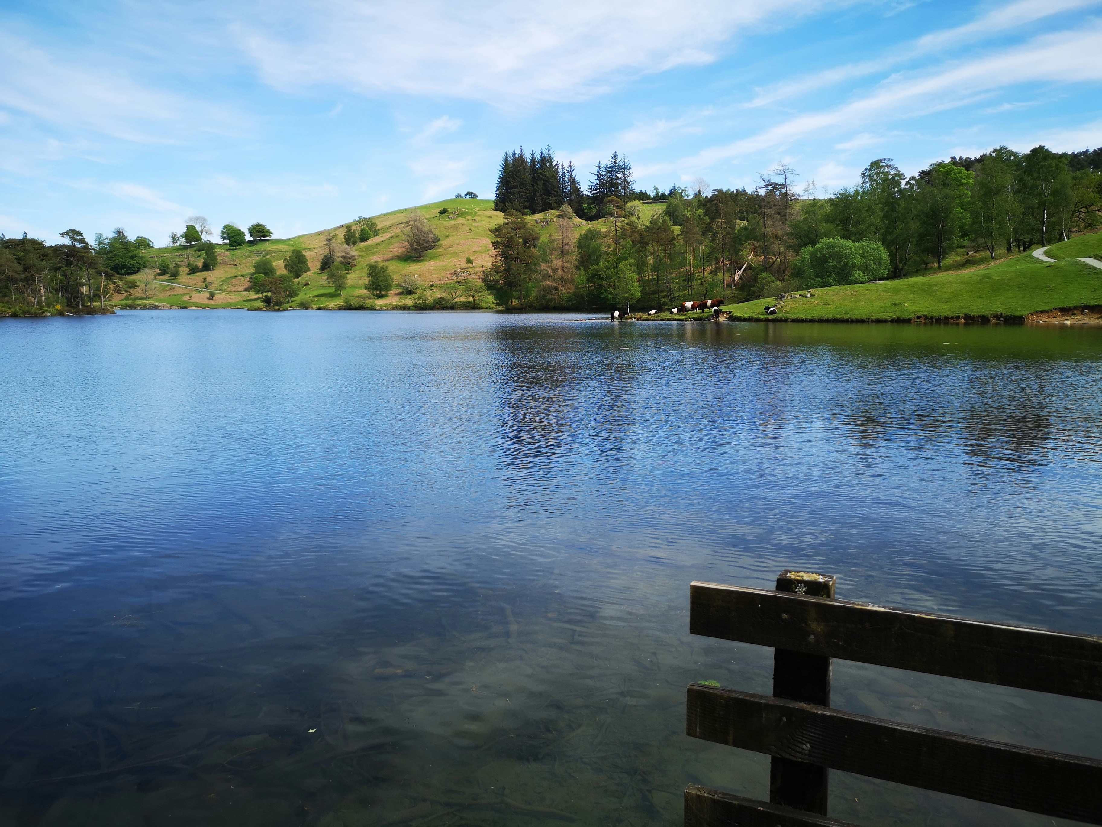 Photo by kerrynicholson