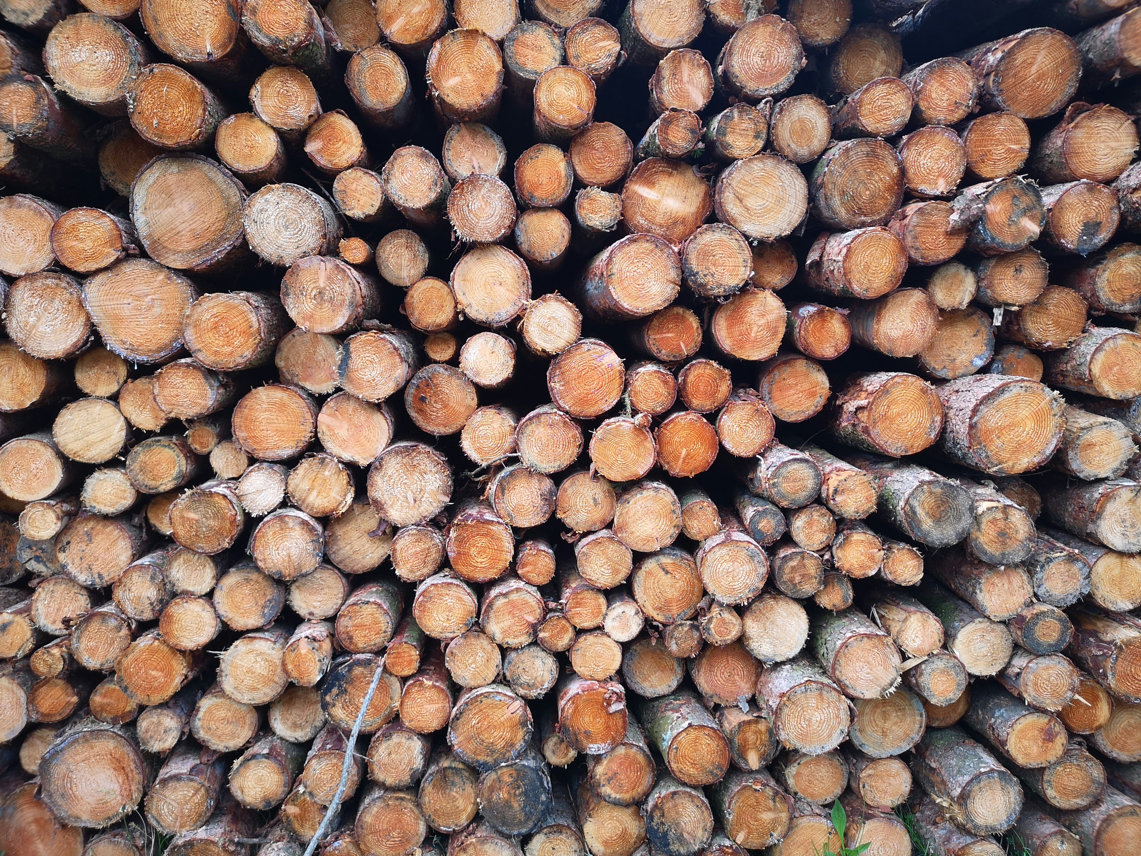 Photo by kerrynicholson