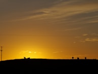 A tranquil sunset over the hills with sheep silhouetted.