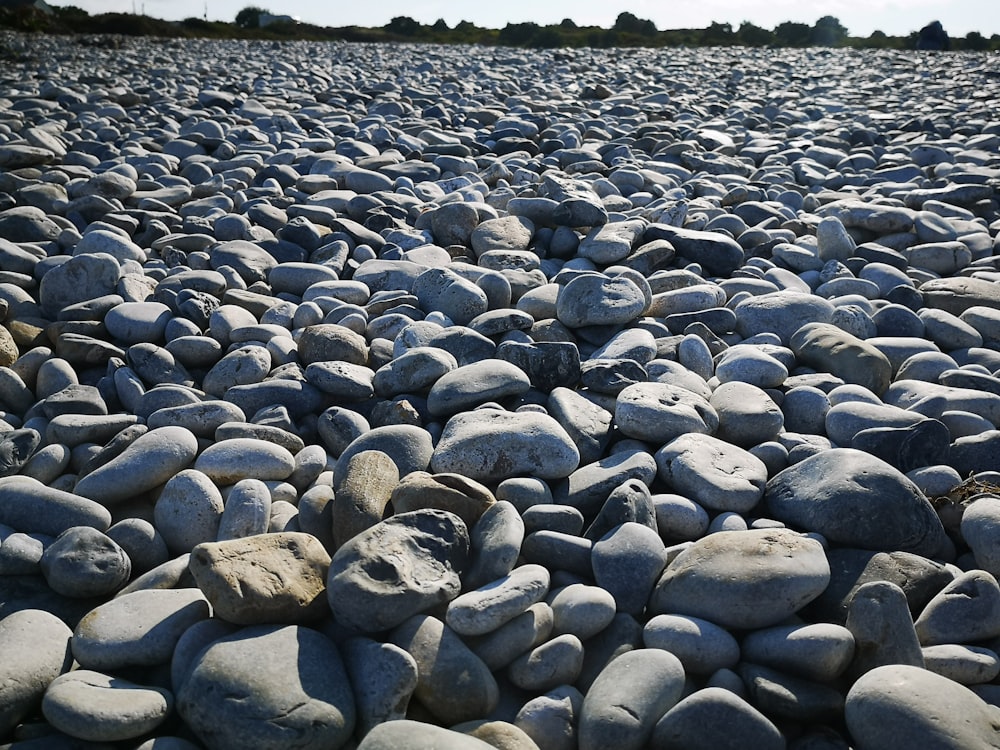 un mucchio di rocce che giacciono sul terreno