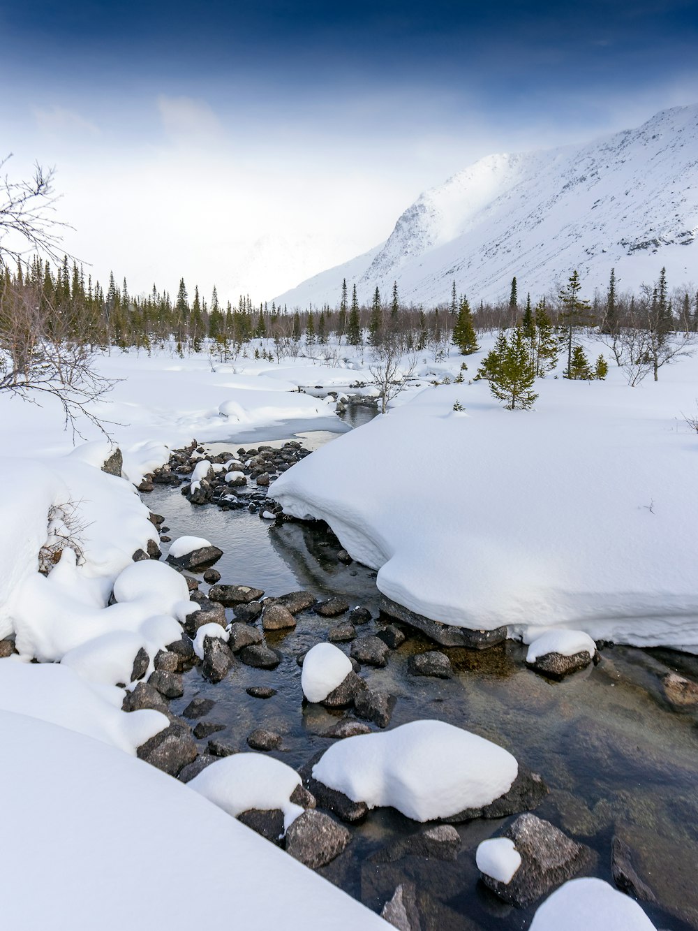 a stream running through a snow covered forest