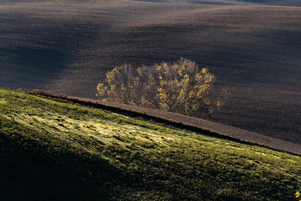 a lone tree on a hill in the distance