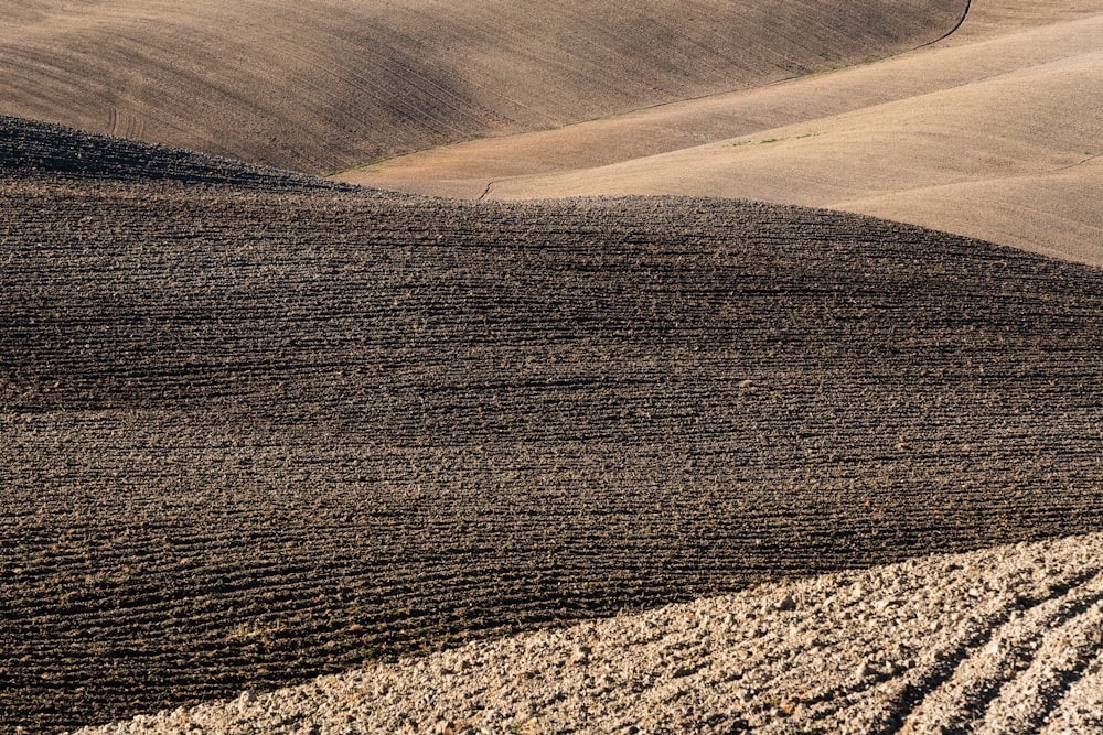 ein gepflügtes Feld mit einem einsamen Baum in der Ferne