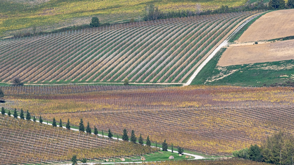 an aerial view of a field with trees