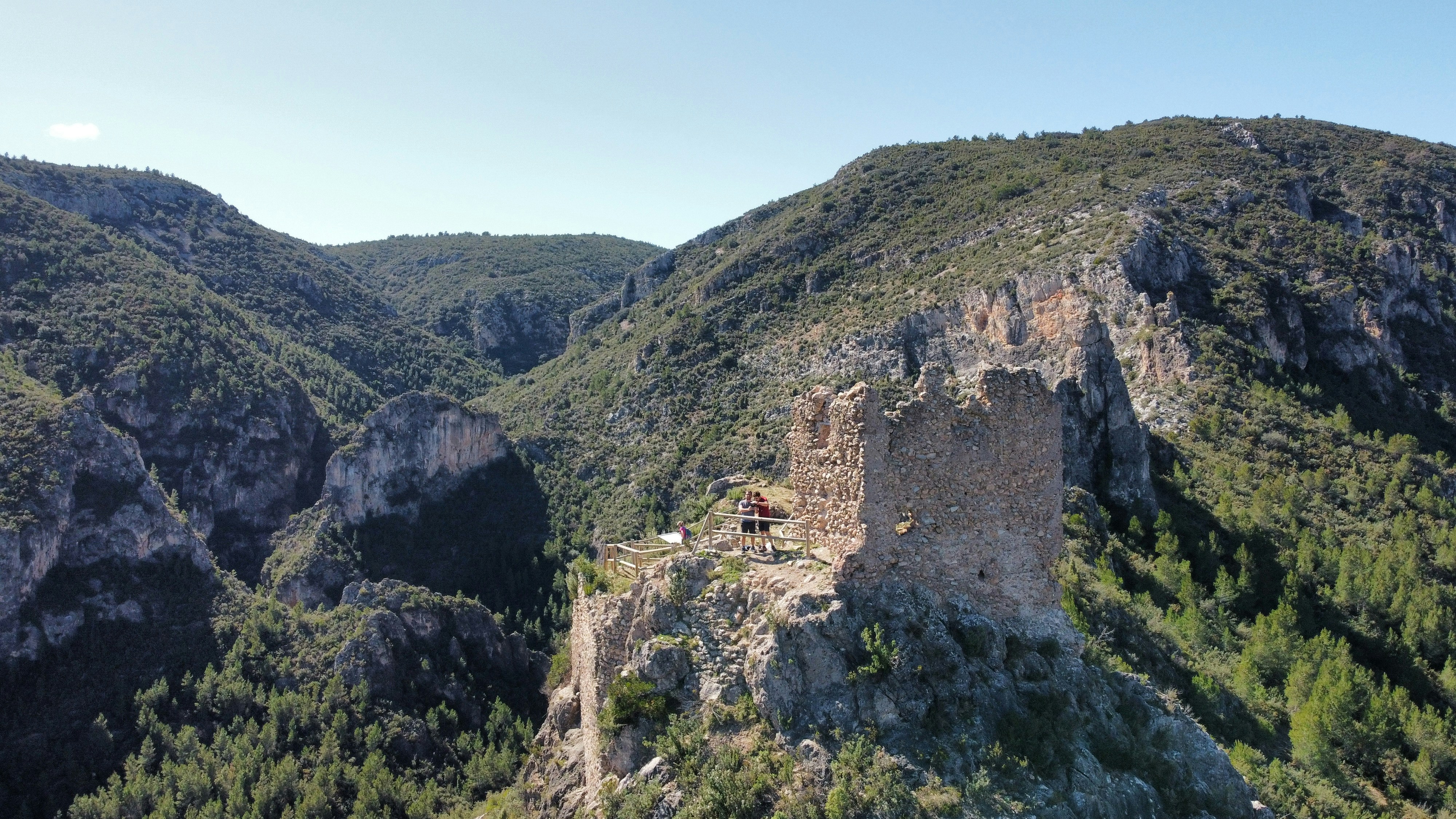 a castle perched on top of a mountain surrounded by trees