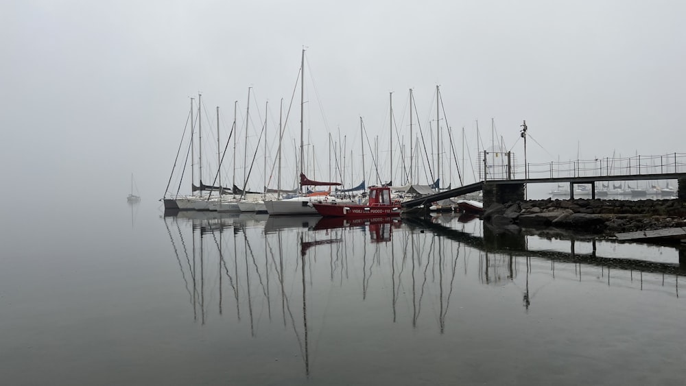 a bunch of boats that are sitting in the water