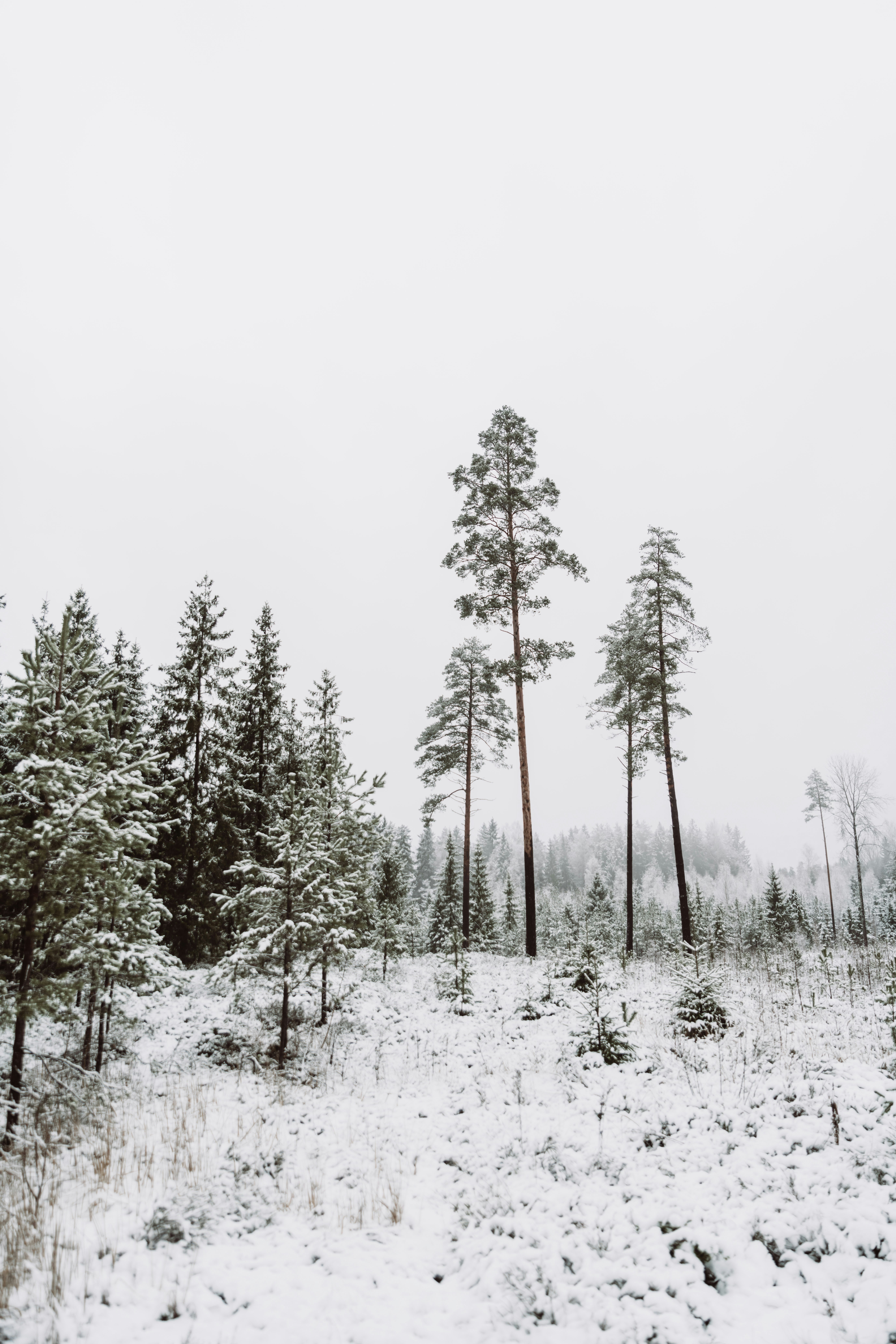 Photo by anitaaustvika