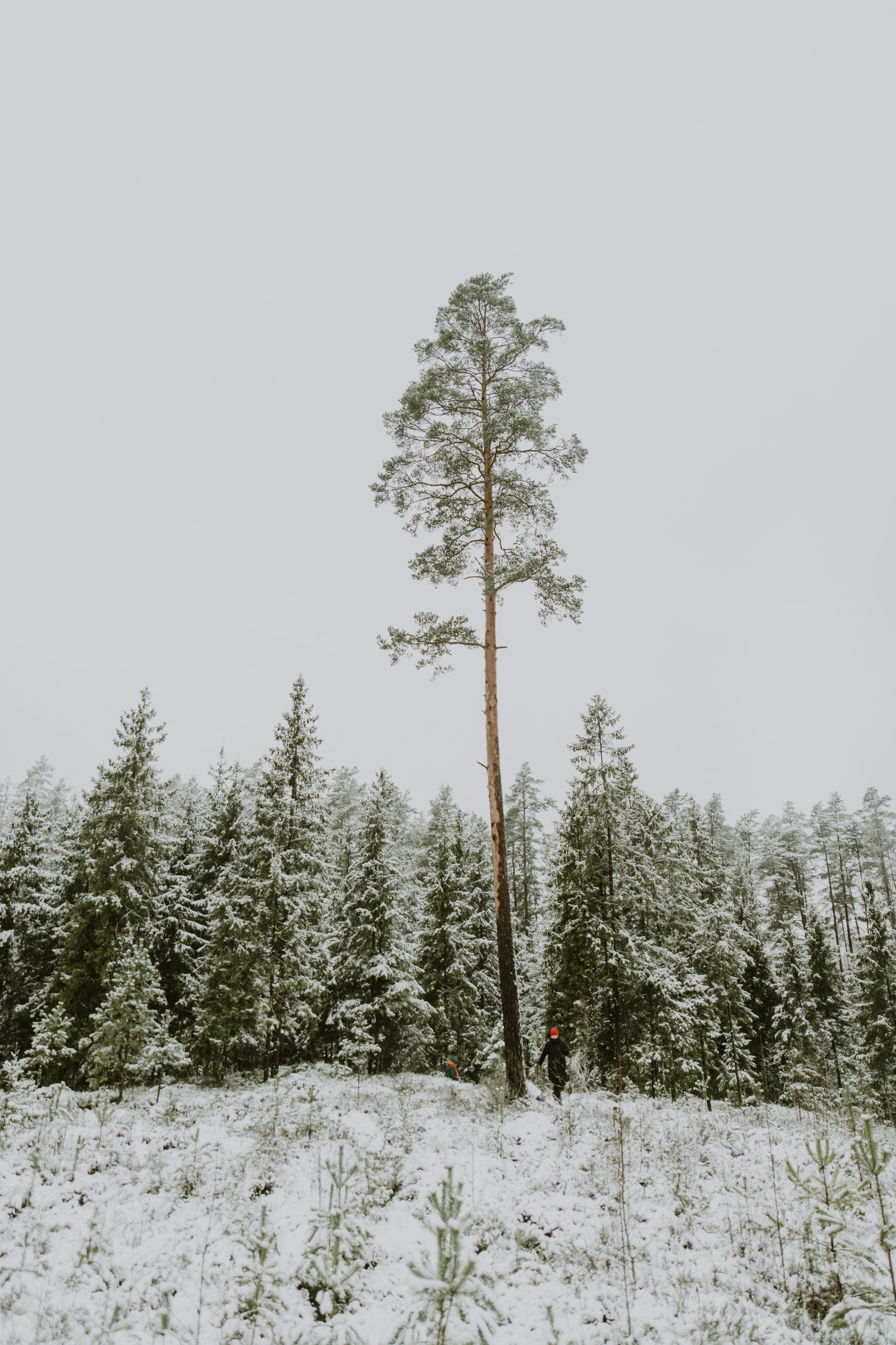 Photo by anitaaustvika