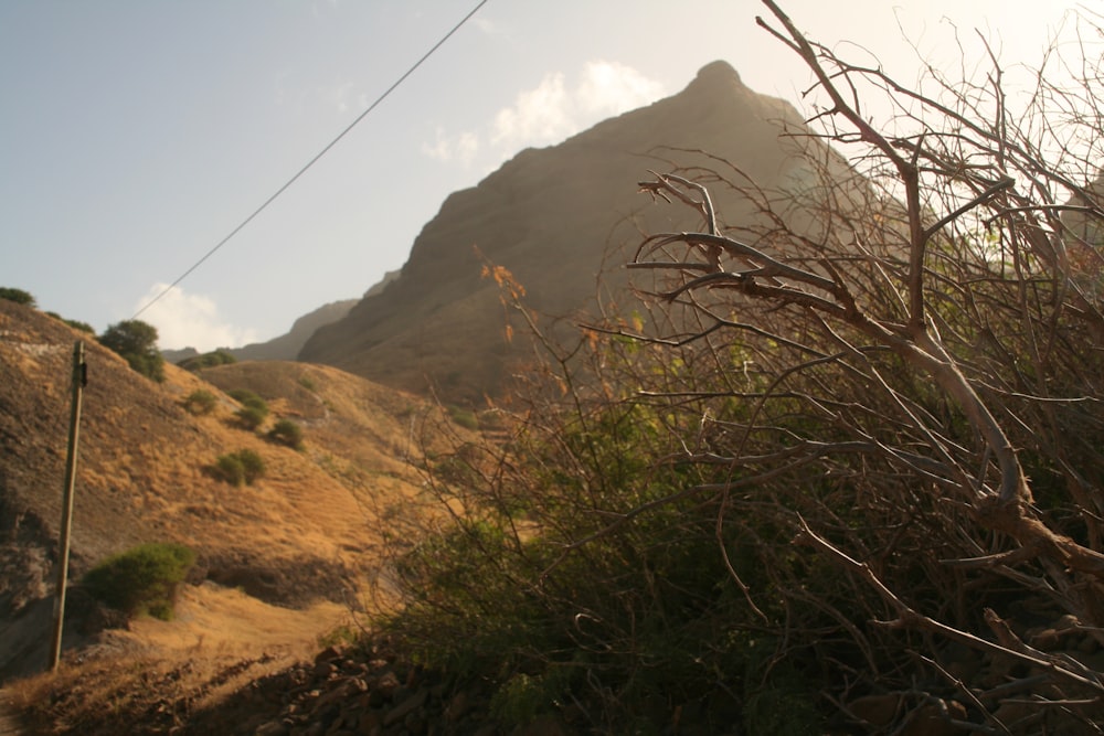 a view of a mountain with a telephone pole in the foreground