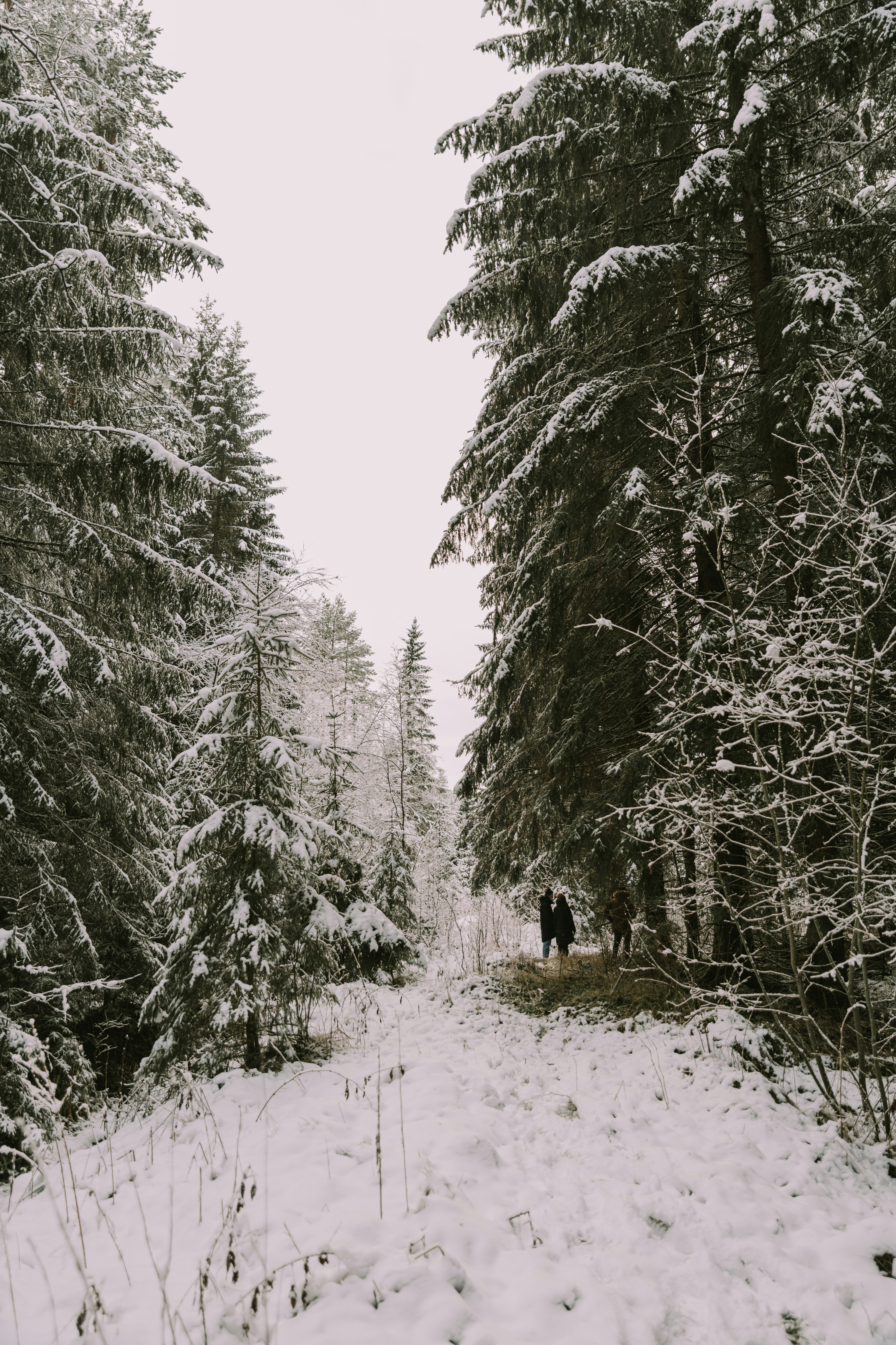 Photo by anitaaustvika