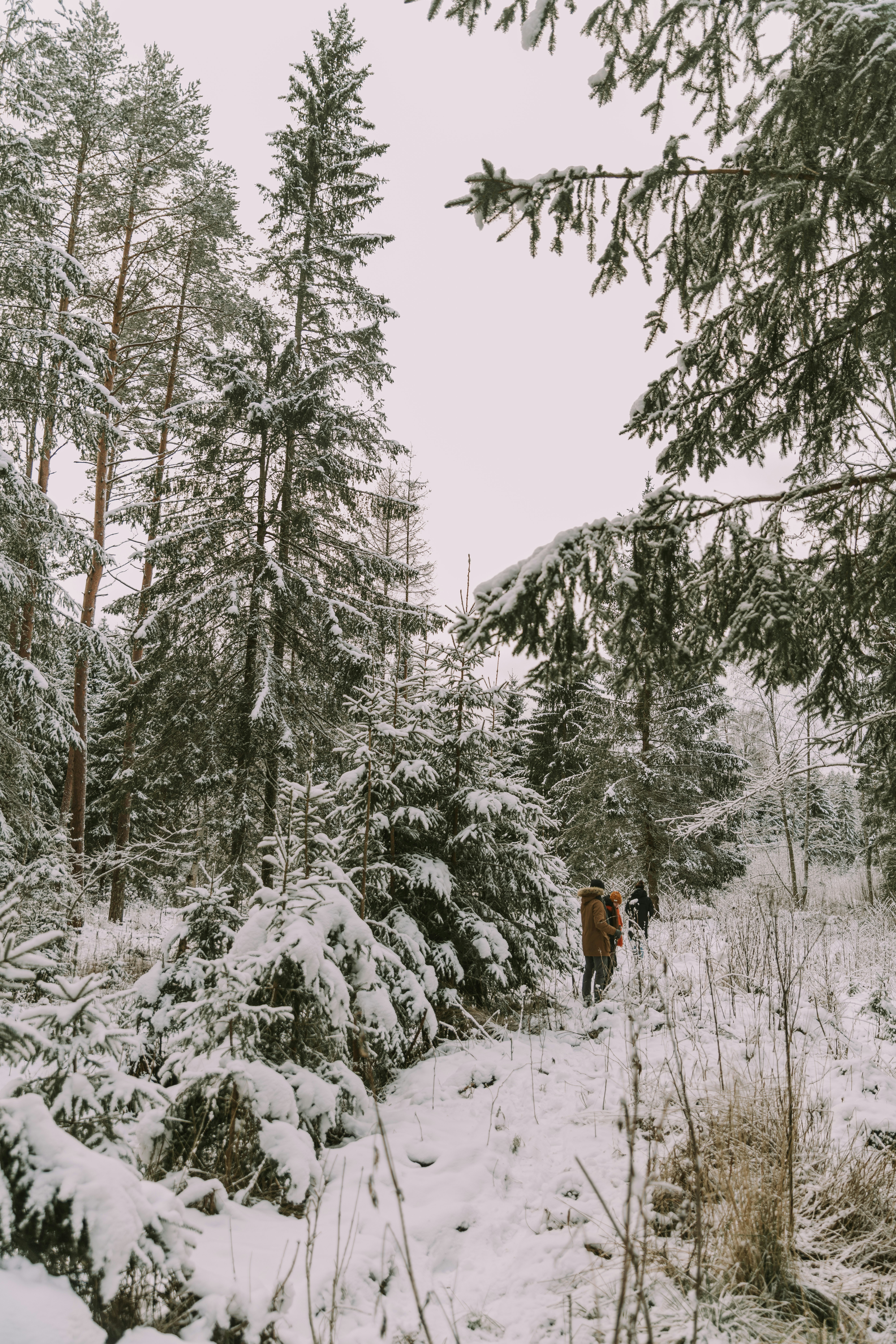 Photo by anitaaustvika