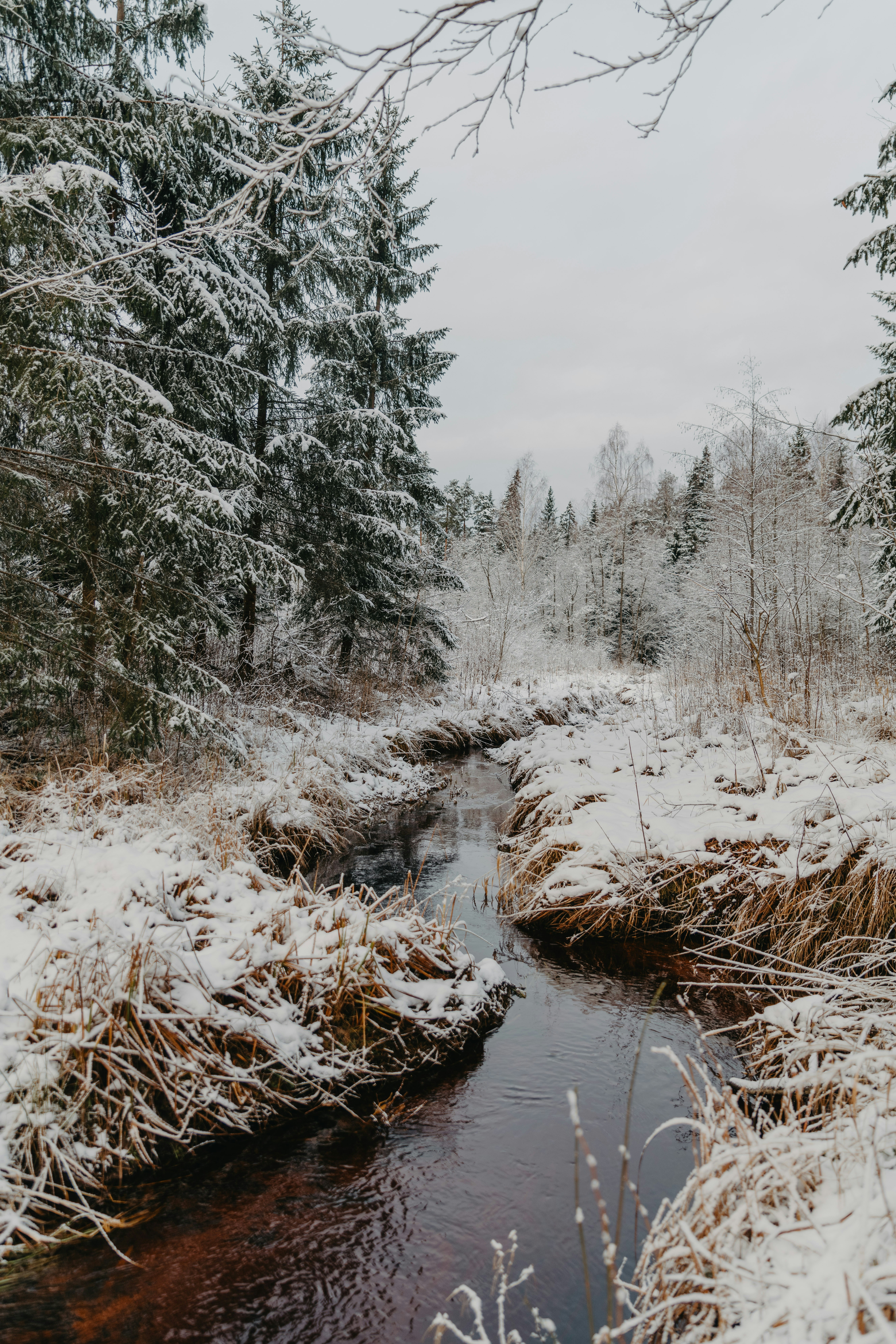 Photo by anitaaustvika