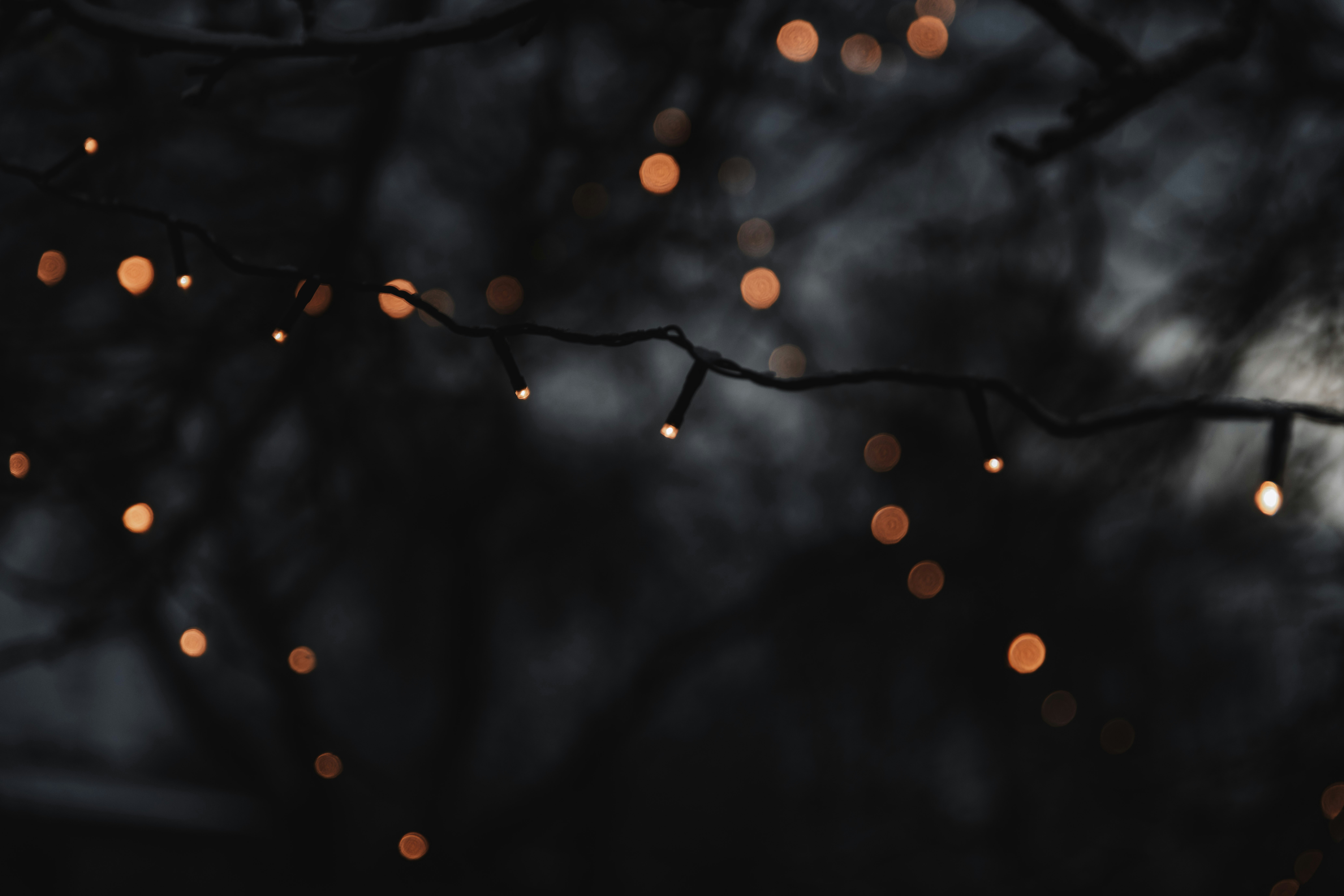 Photo by anitaaustvika