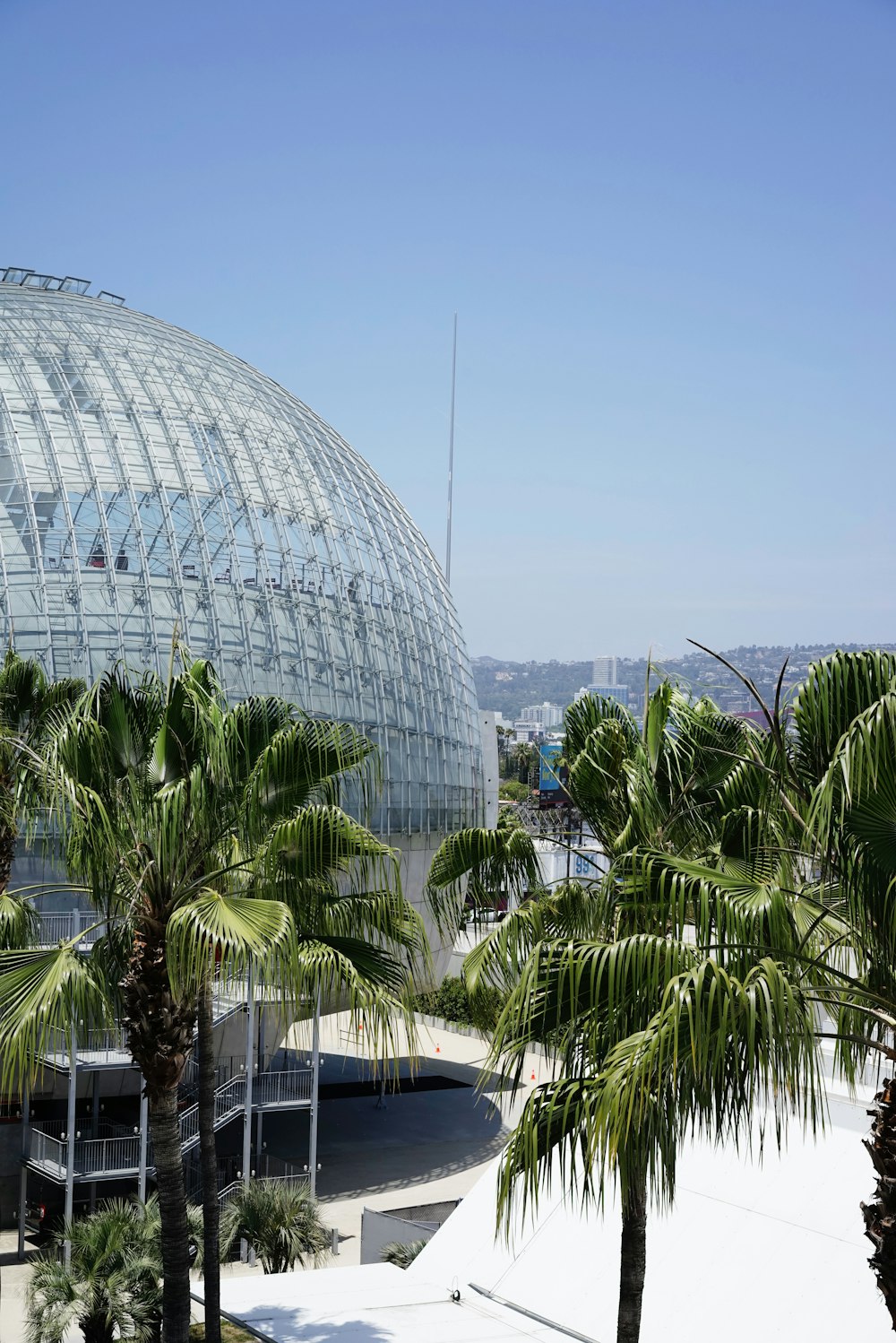 palm trees in front of a large glass dome