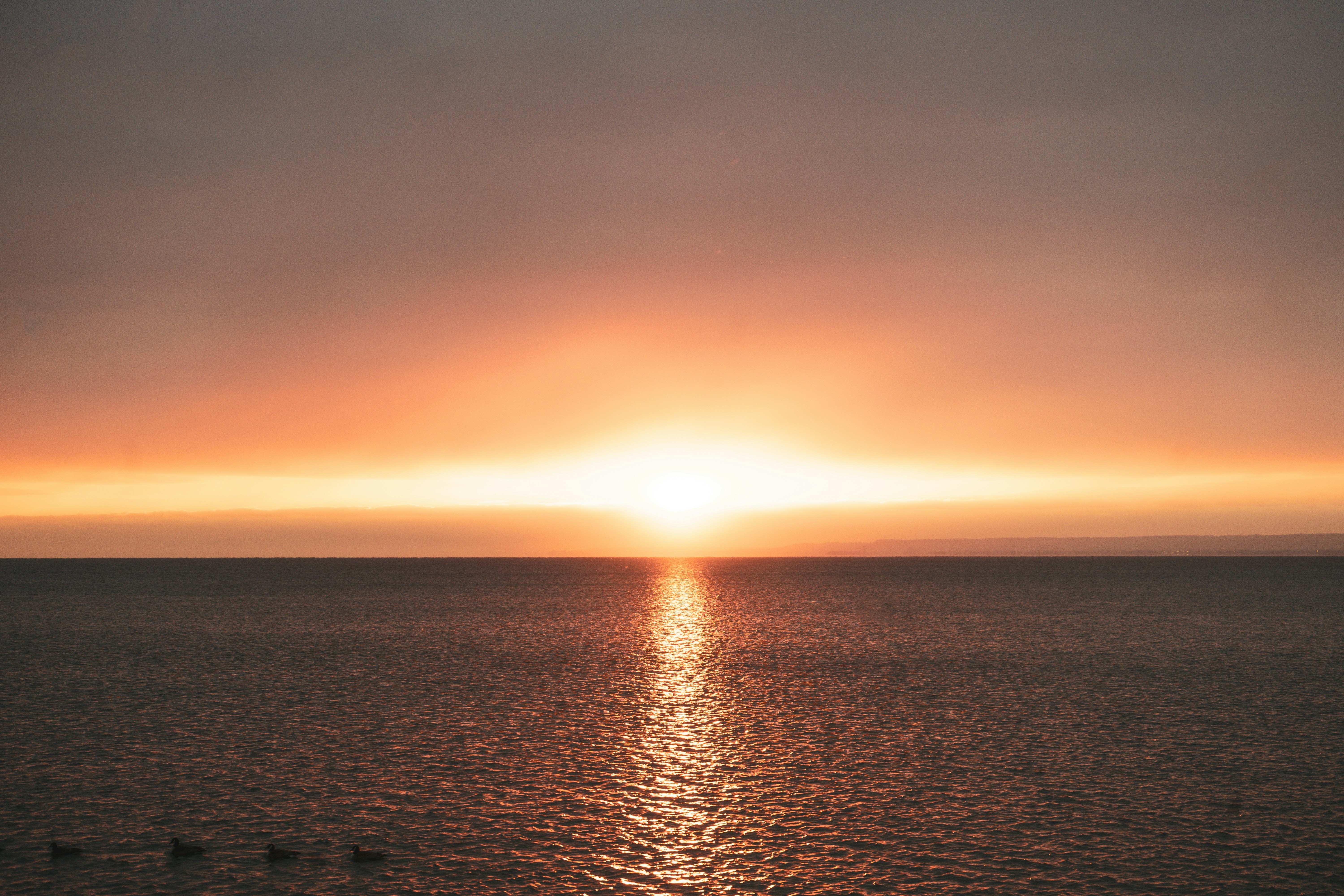 Photo by chris_thornton