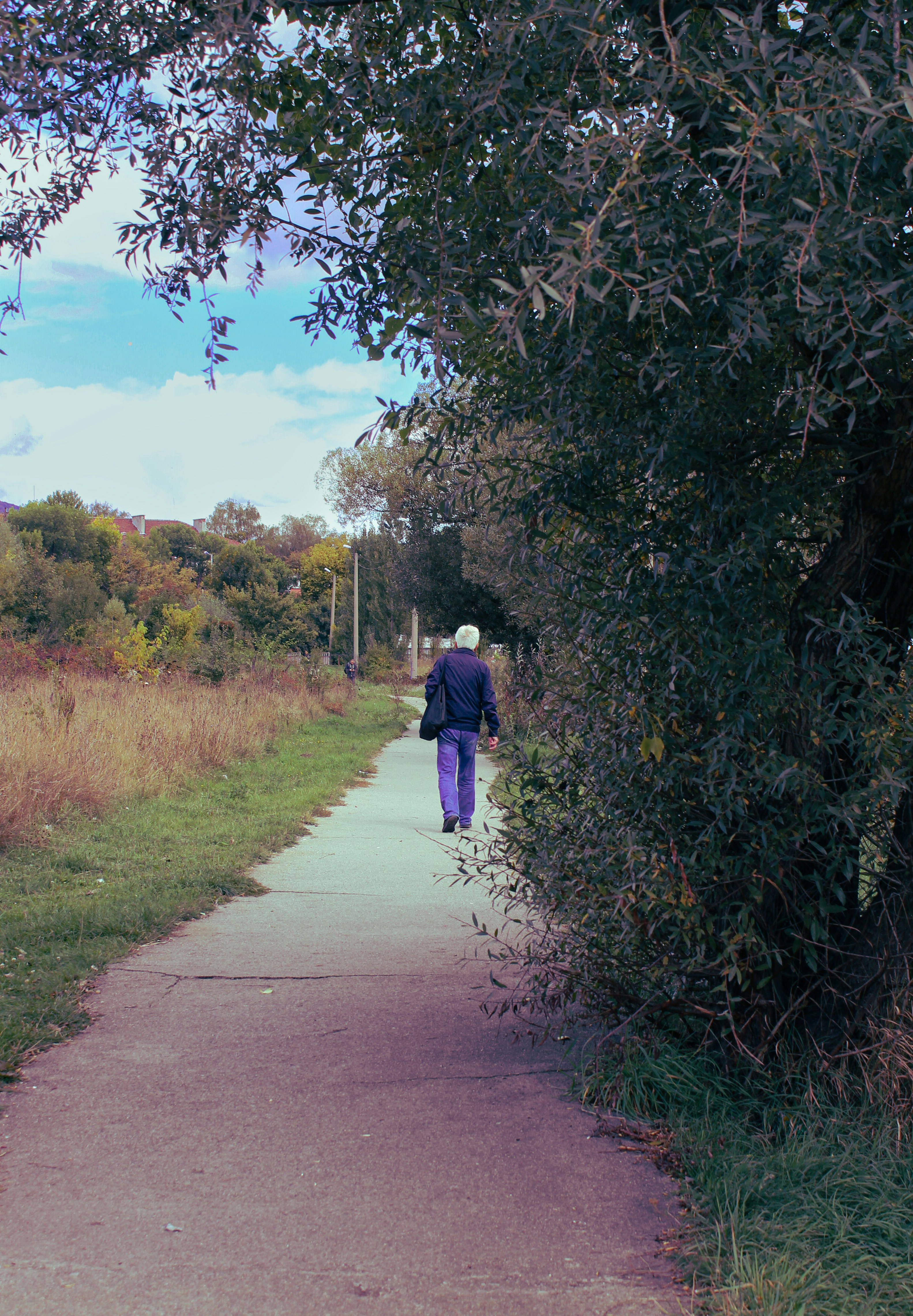 A person walking down a path in the woods photo – Free Walking Image on ...