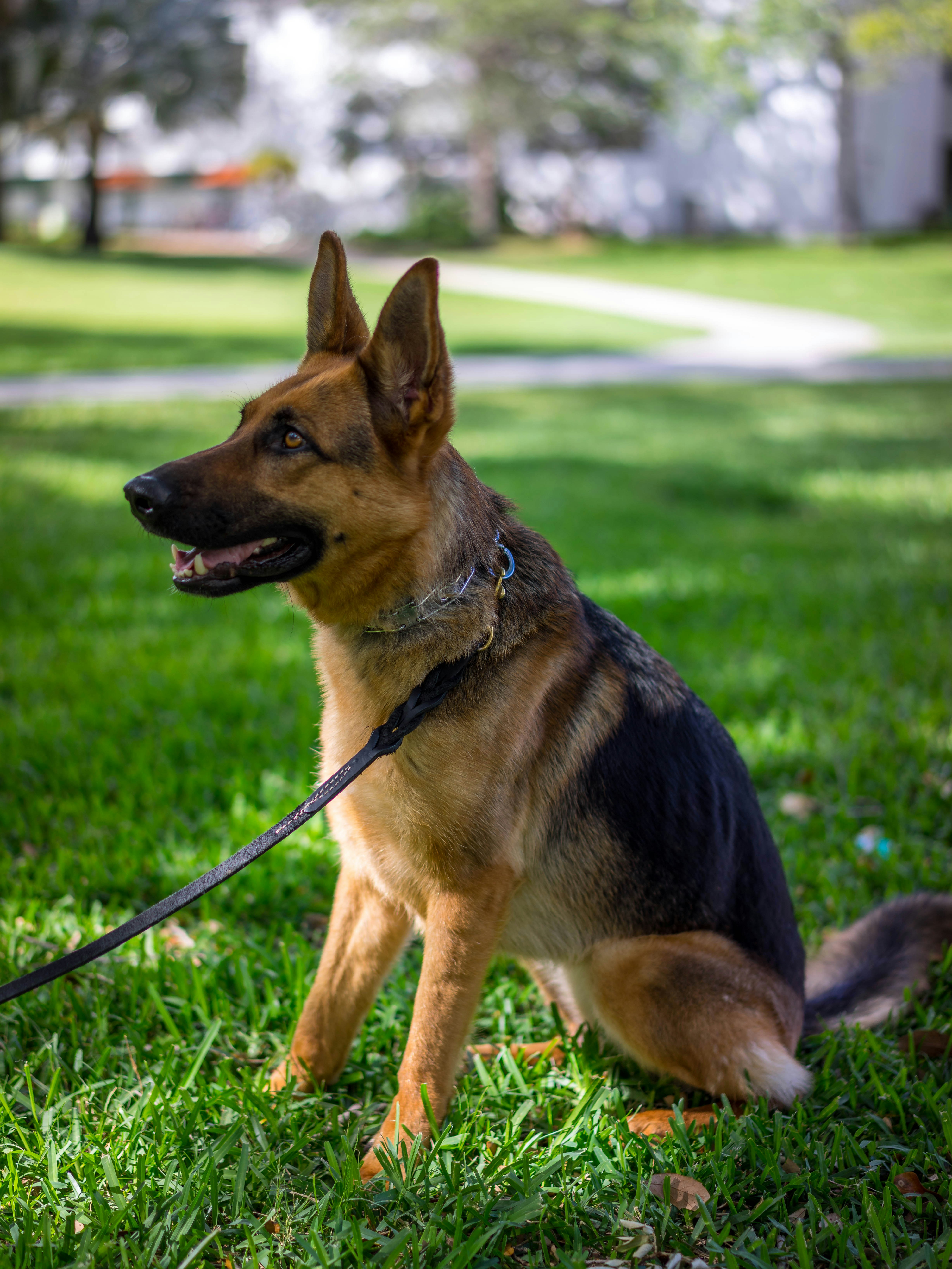 Photo by baronalloway