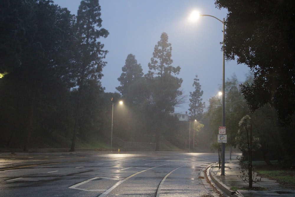 a wet street with street lights and trees