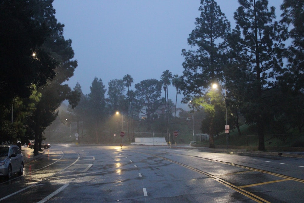 a wet street at night with street lights and trees