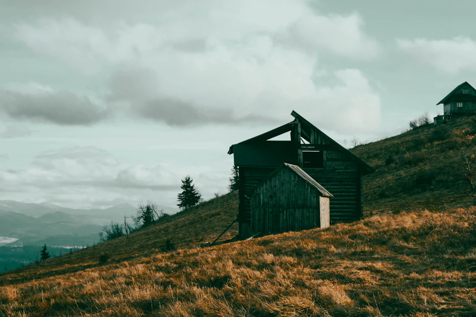 Two wooden cabins nestled on a hillside with tall grass and trees surrounding them