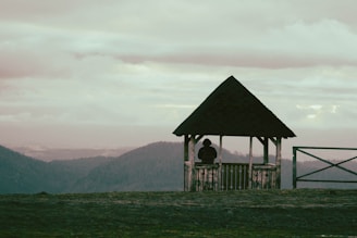 A serene landscape with a lone figure contemplating life choices.