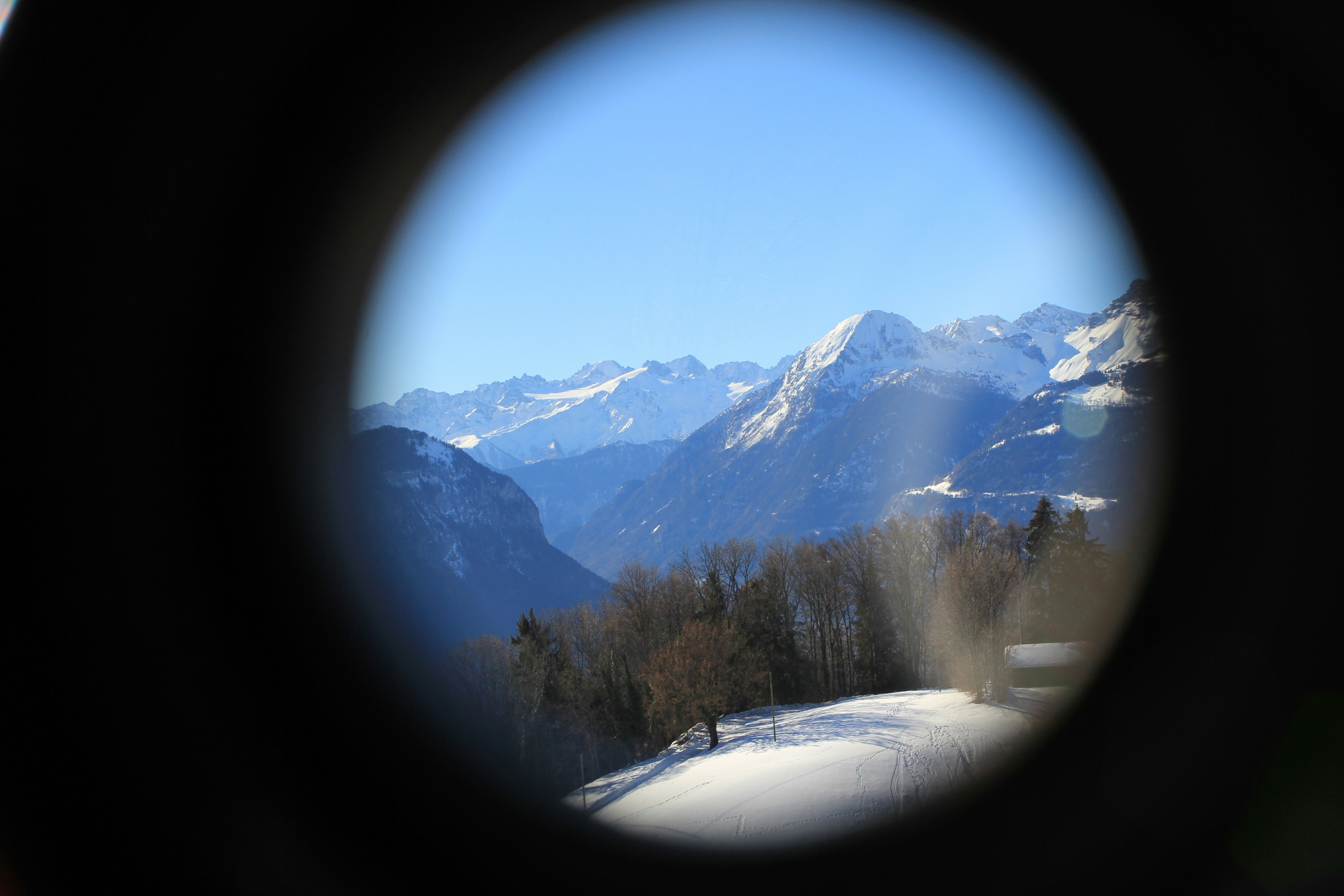 The Quantum Platform Due-Diligence Checklist That Looks Like a CFO, Not a Researcher