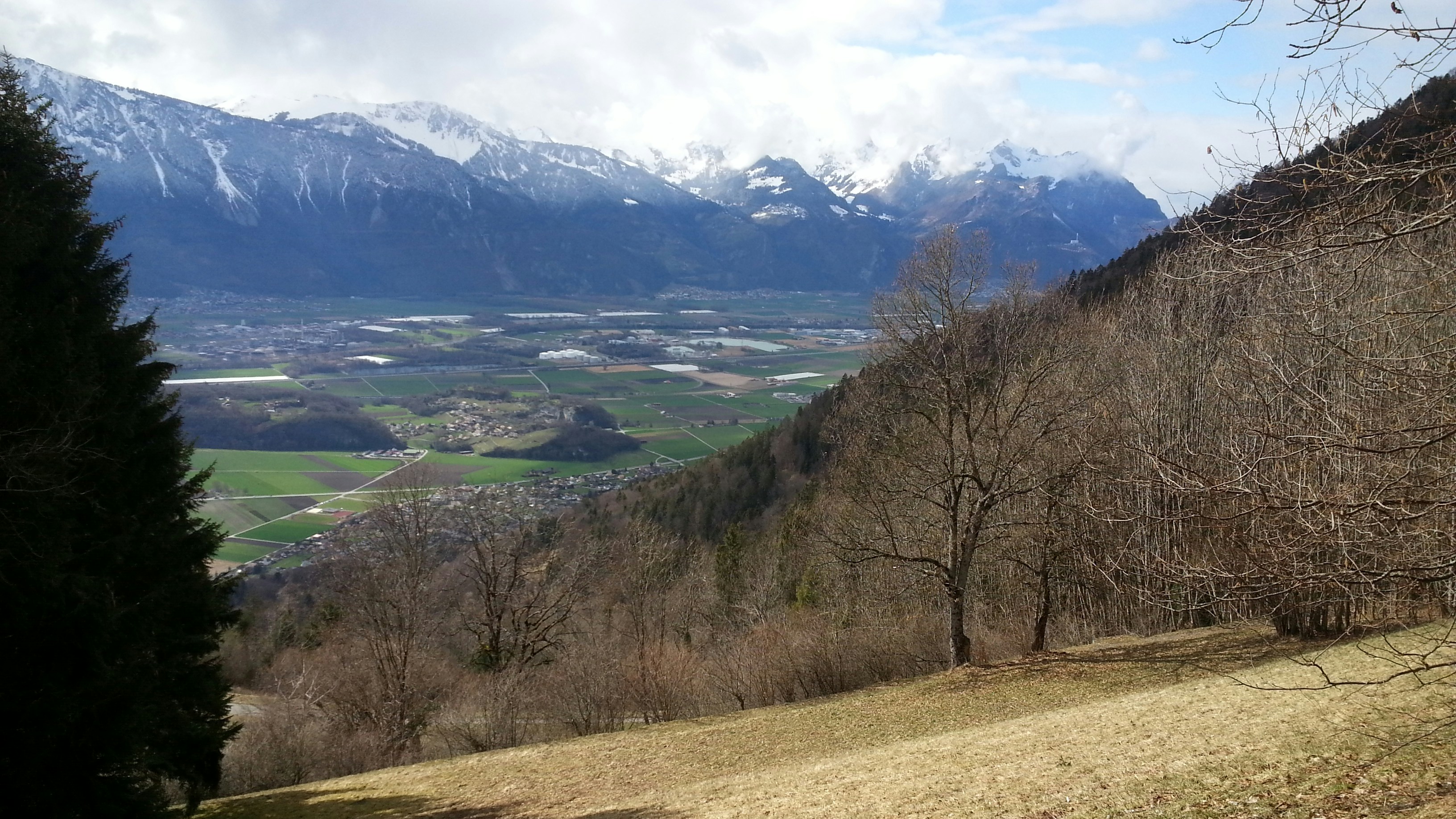 Image by Elizabeth Cho via Unsplash