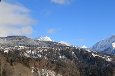 A scenic mountain landscape covered in snow with clear blue skies overhead. The foreground features lush green forests, while a series of houses and cabins are nestled along the hillside.