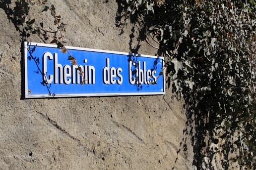 A blue street sign with white lettering reads 'Chemin des Cibles' mounted on a rough-textured wall. Ivy leaves partially cover the sign, adding greenery along the edges.
