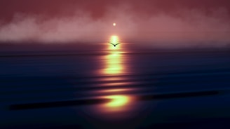 a bird flying over a body of water at night