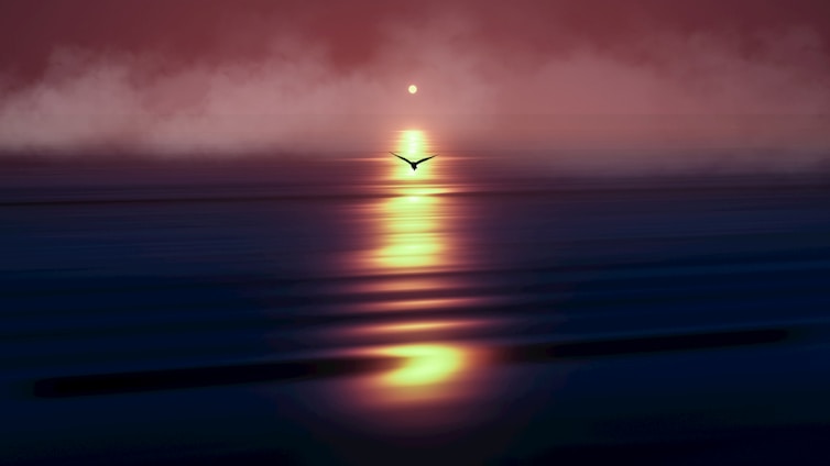 a bird flying over a body of water at night