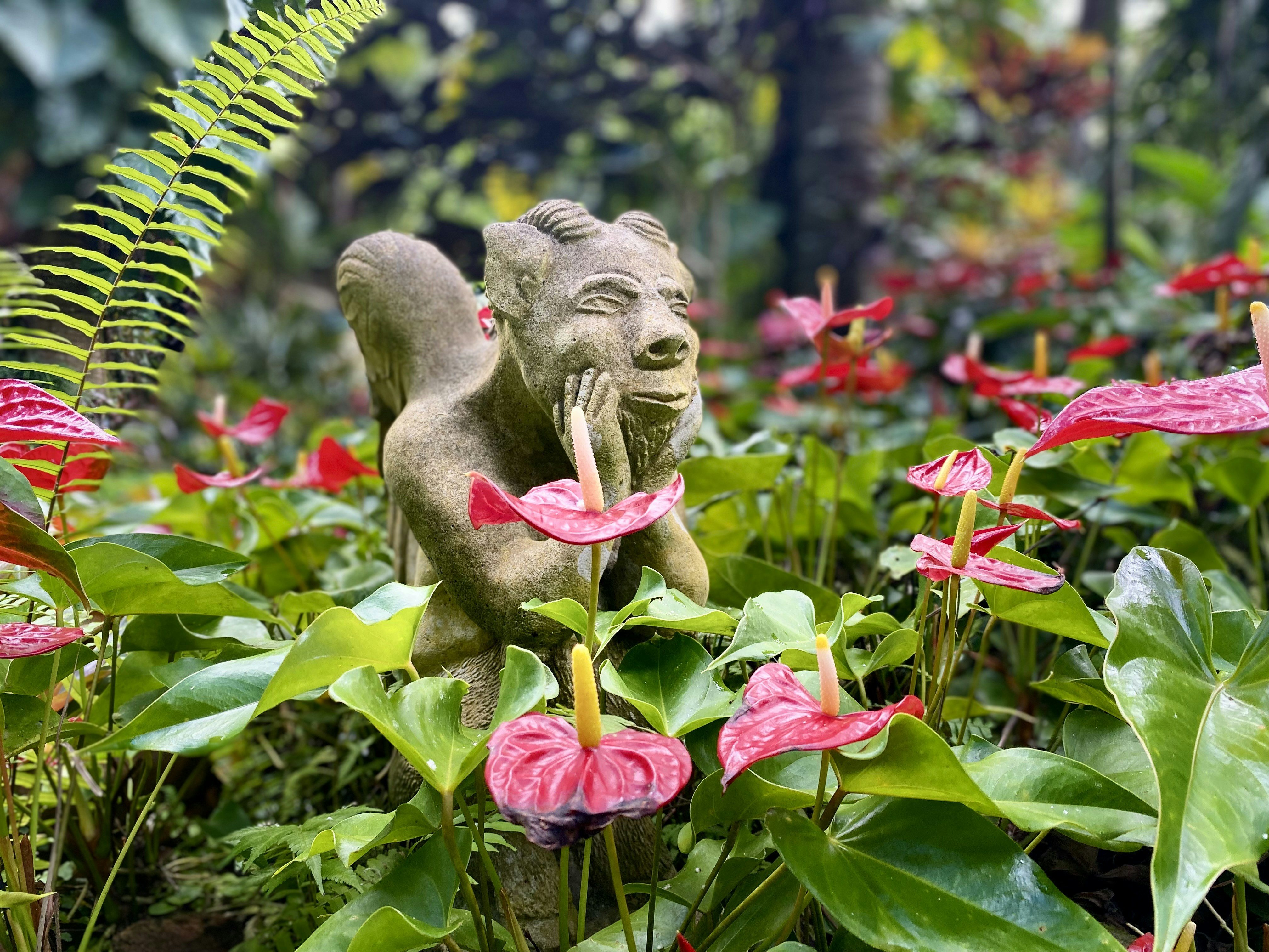 Photo by joshuagobin