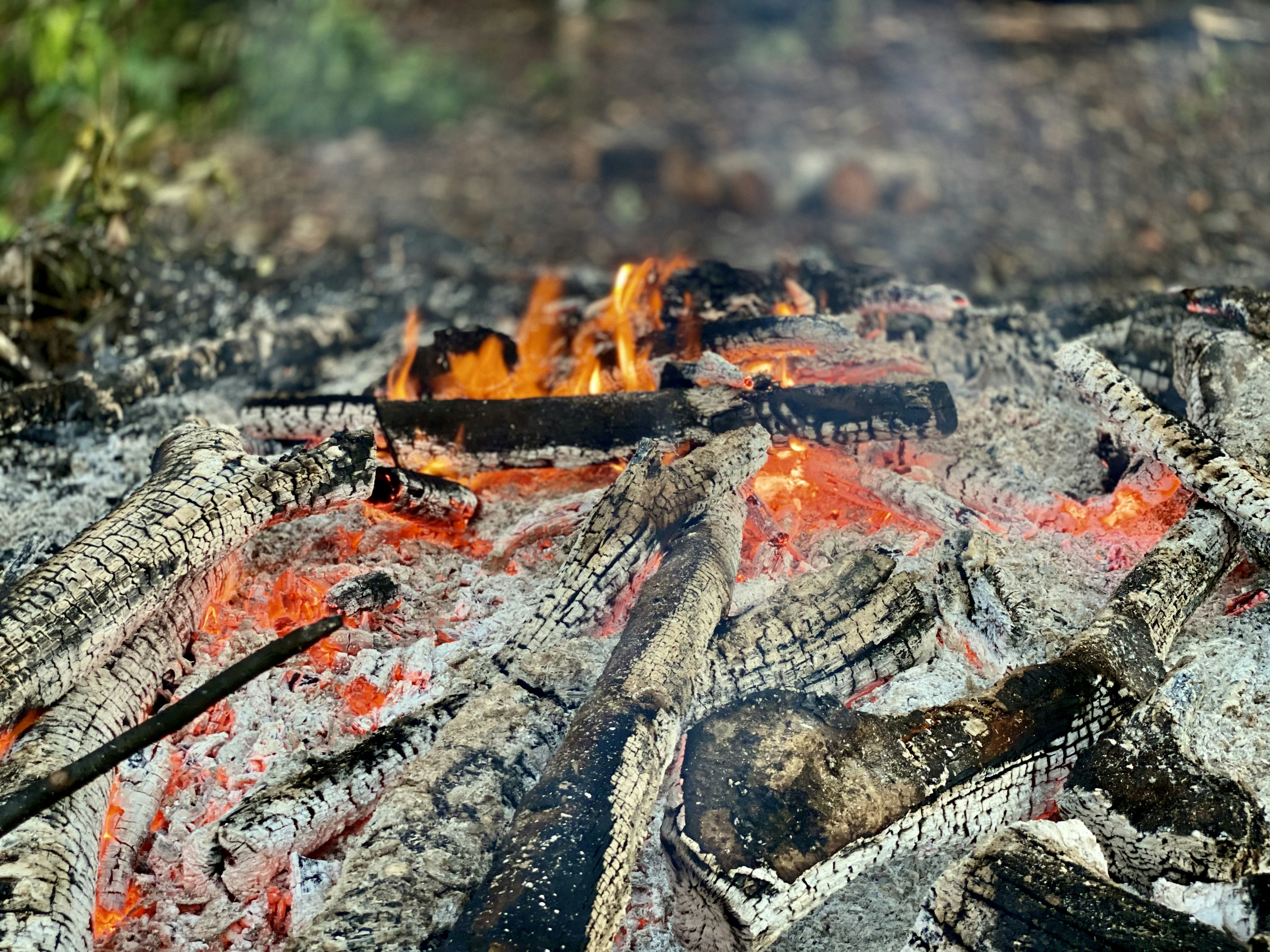 What Can You Do? (image credits: unsplash)