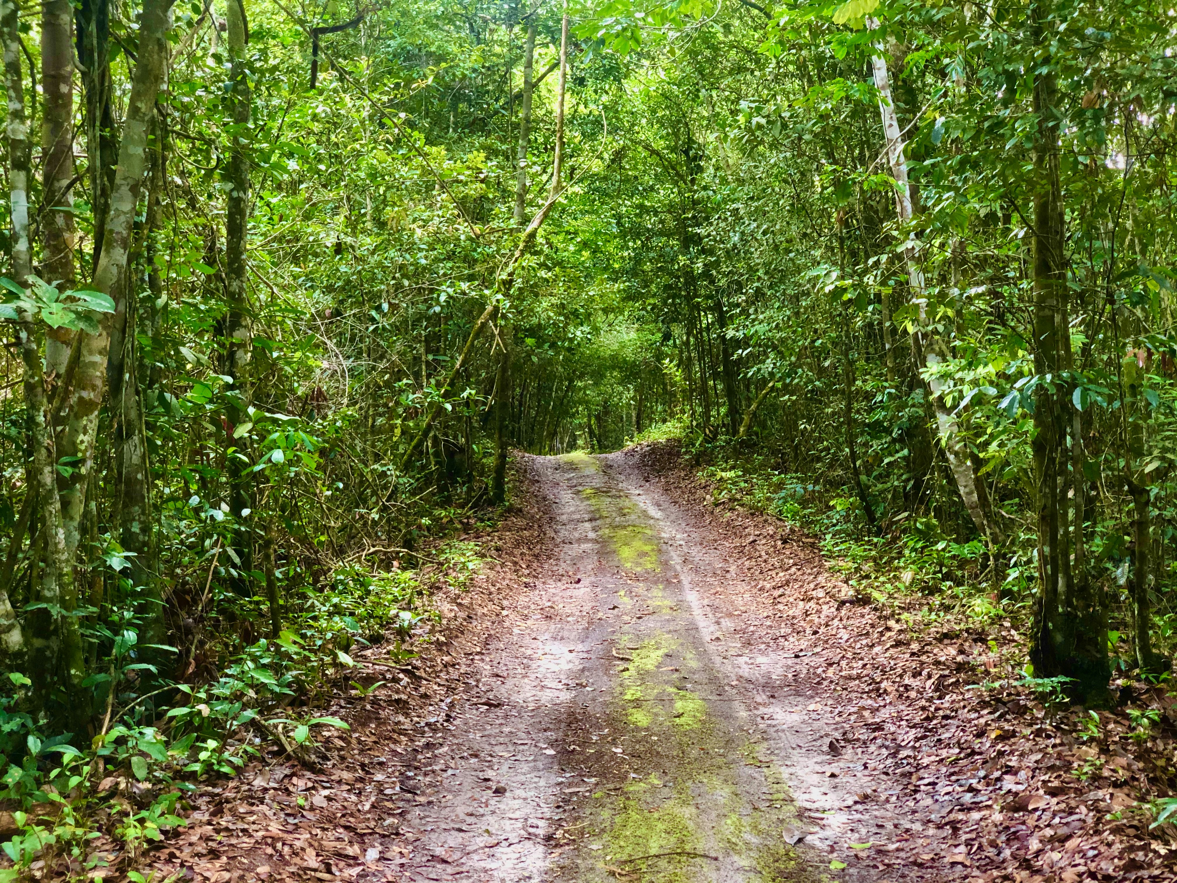 Photo by joshuagobin