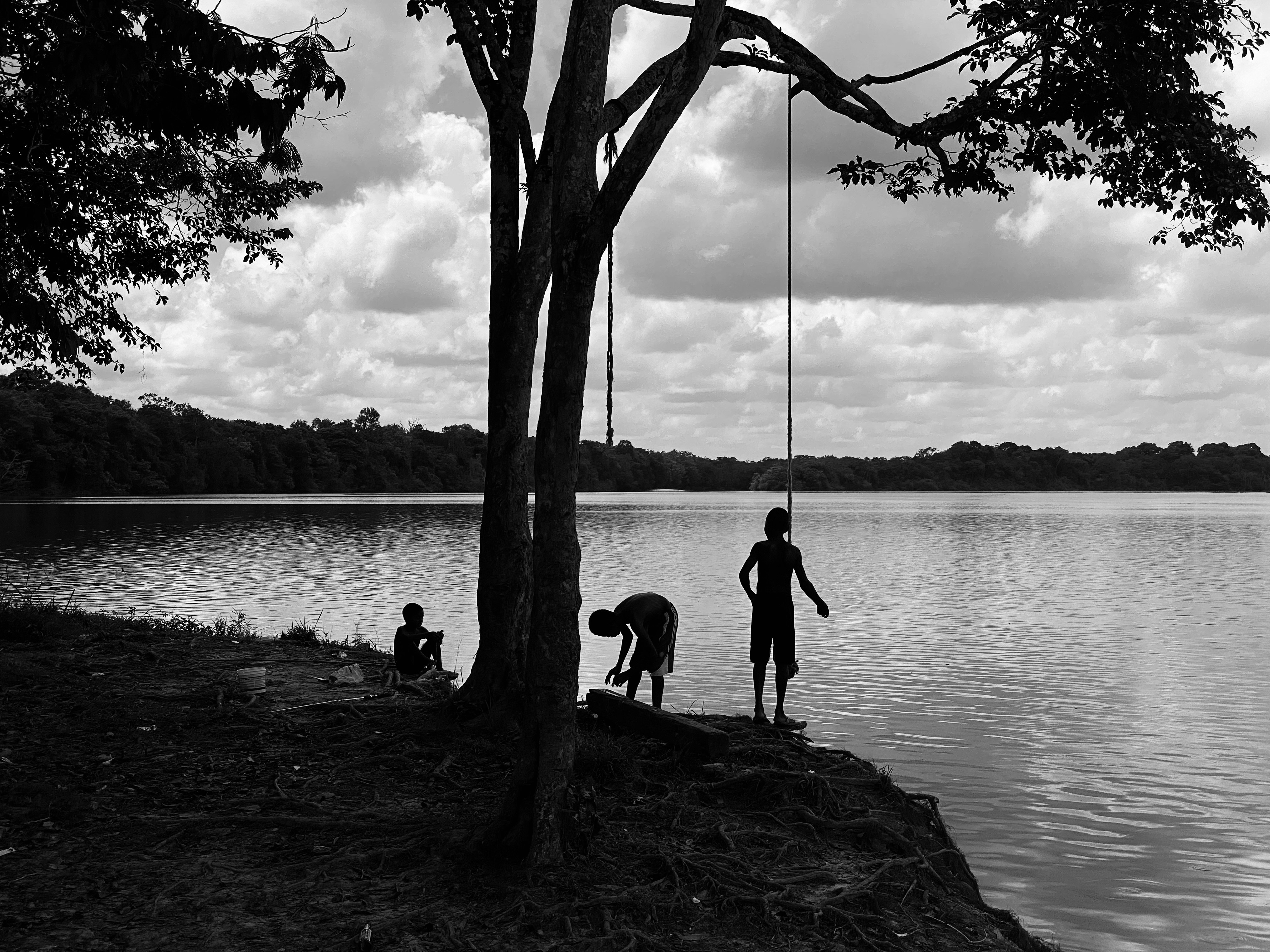 a couple of people standing next to a tree near a body of water