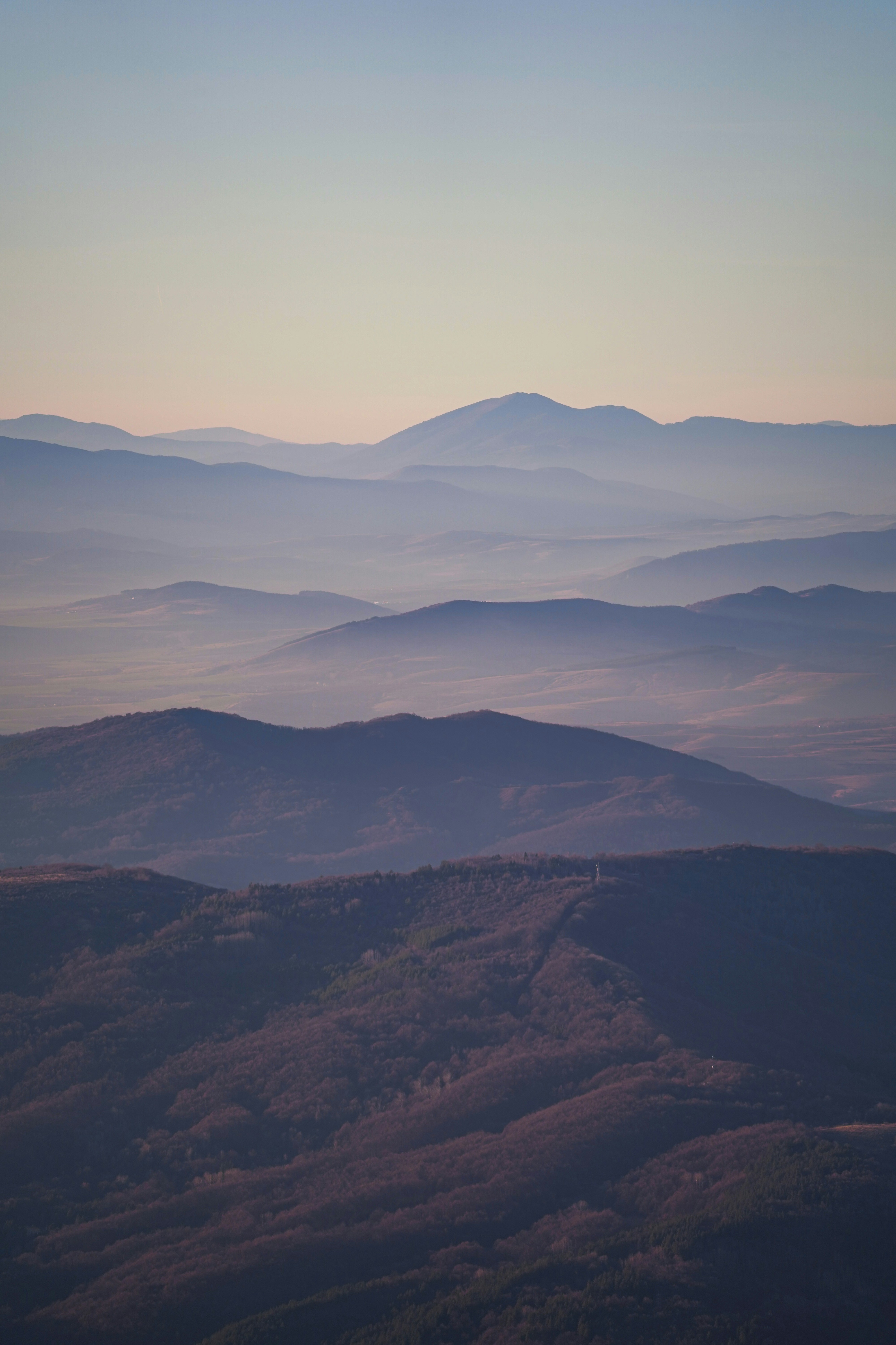 Photo by vencislavsh