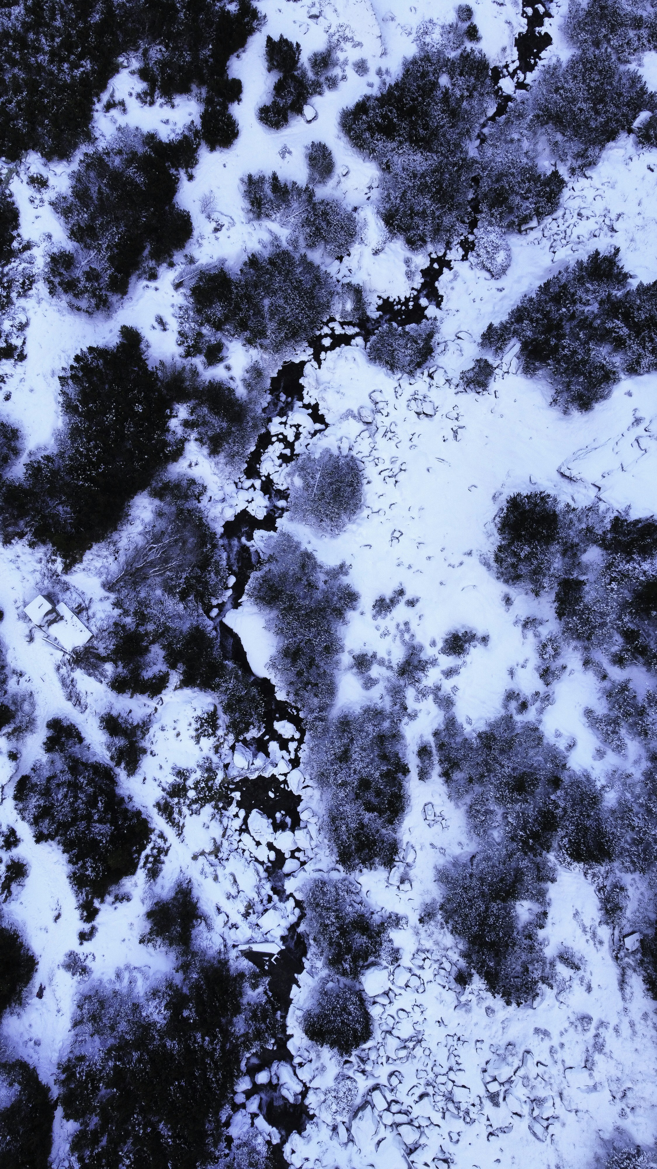 Photo by vencislavsh