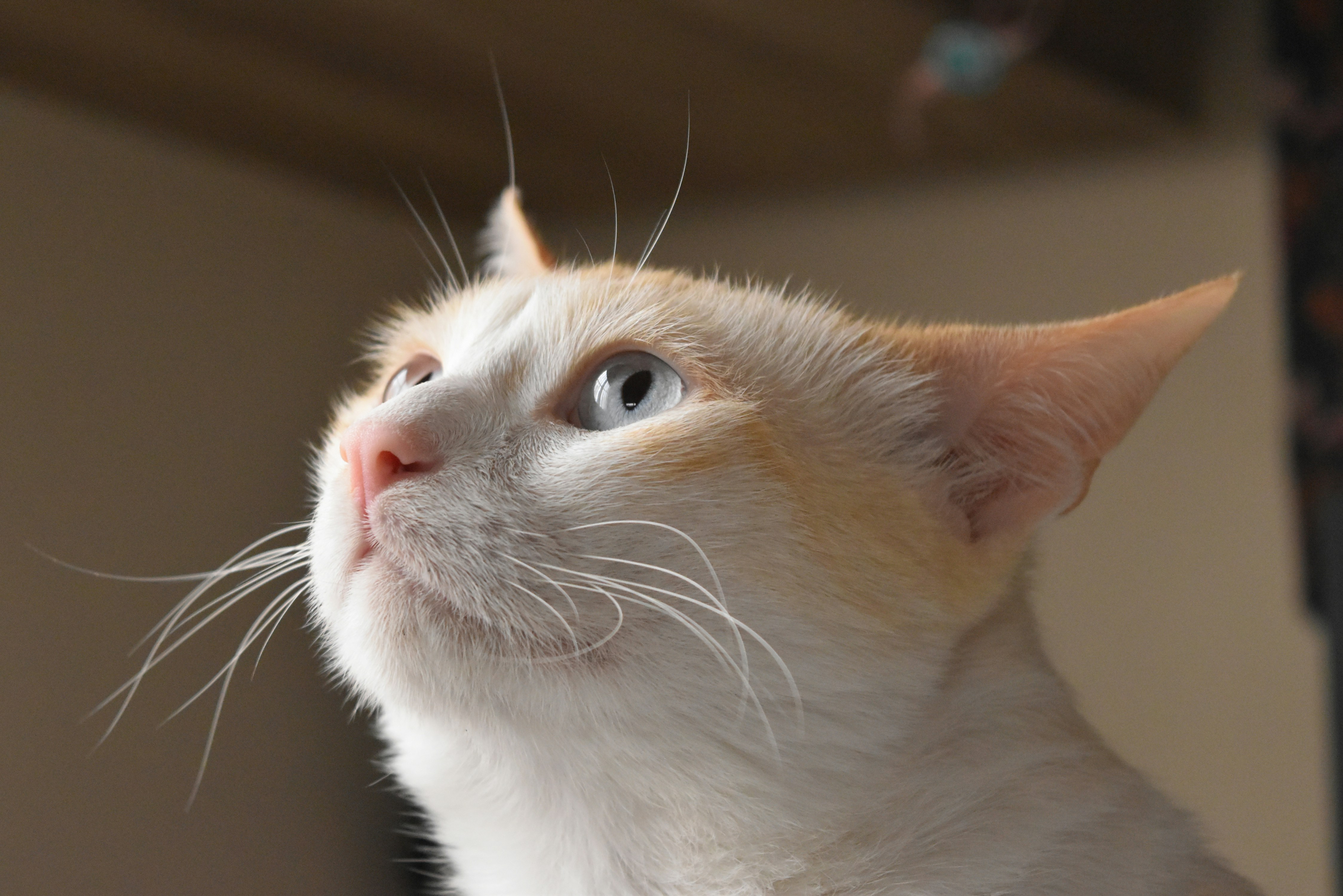 Photo by milborne407