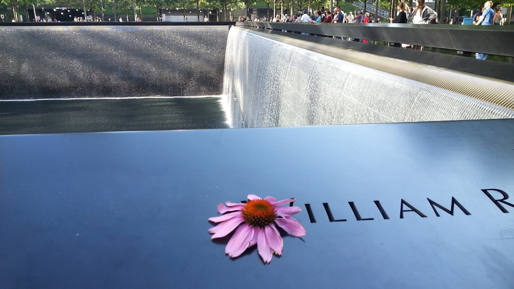 a pink flower sitting on the side of a memorial