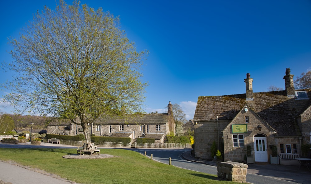 a tree in front of a stone building